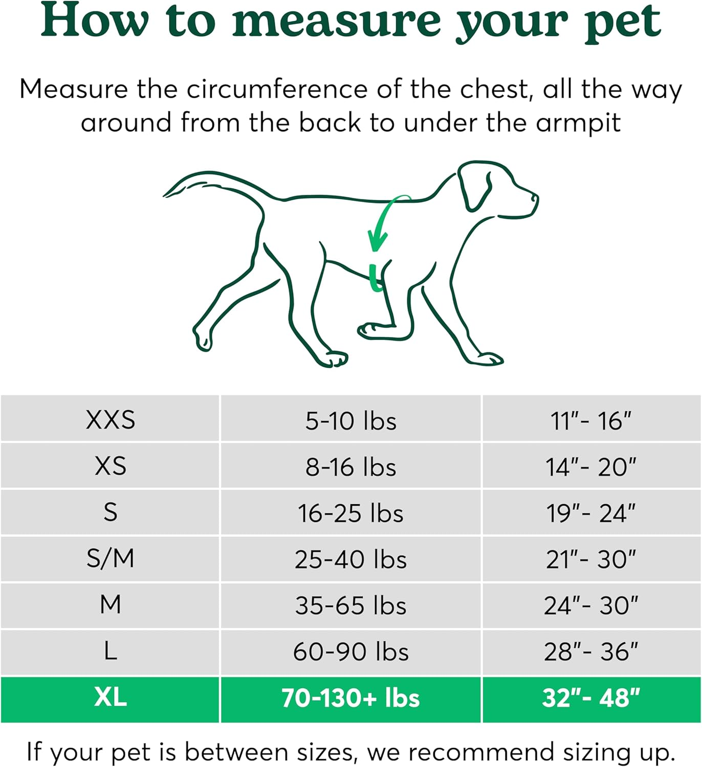 Rover Gear Better Walk No-Pull Dog Harness, Hot Pink, X-Large &ndash; Stay in Control with Adjustable, Comfortable, Easy to Wear, Durable Dog Harness &ndash; Ideal for Extra Large Dogs 70-130+ Lb image number 4