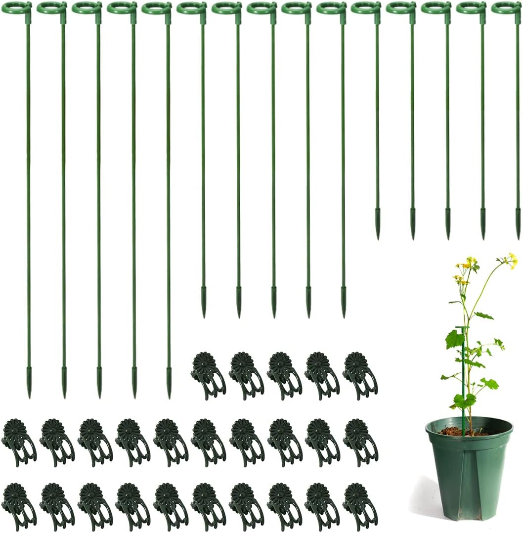 LUCKJUJU 30 Pcs Plant Support Stakes with 30 Pcs Plant Clips Garden Floral Flower Support Single Stem Support Stake for Phalaenopsis Orchid Flower Roses Amaryllis image number 3
