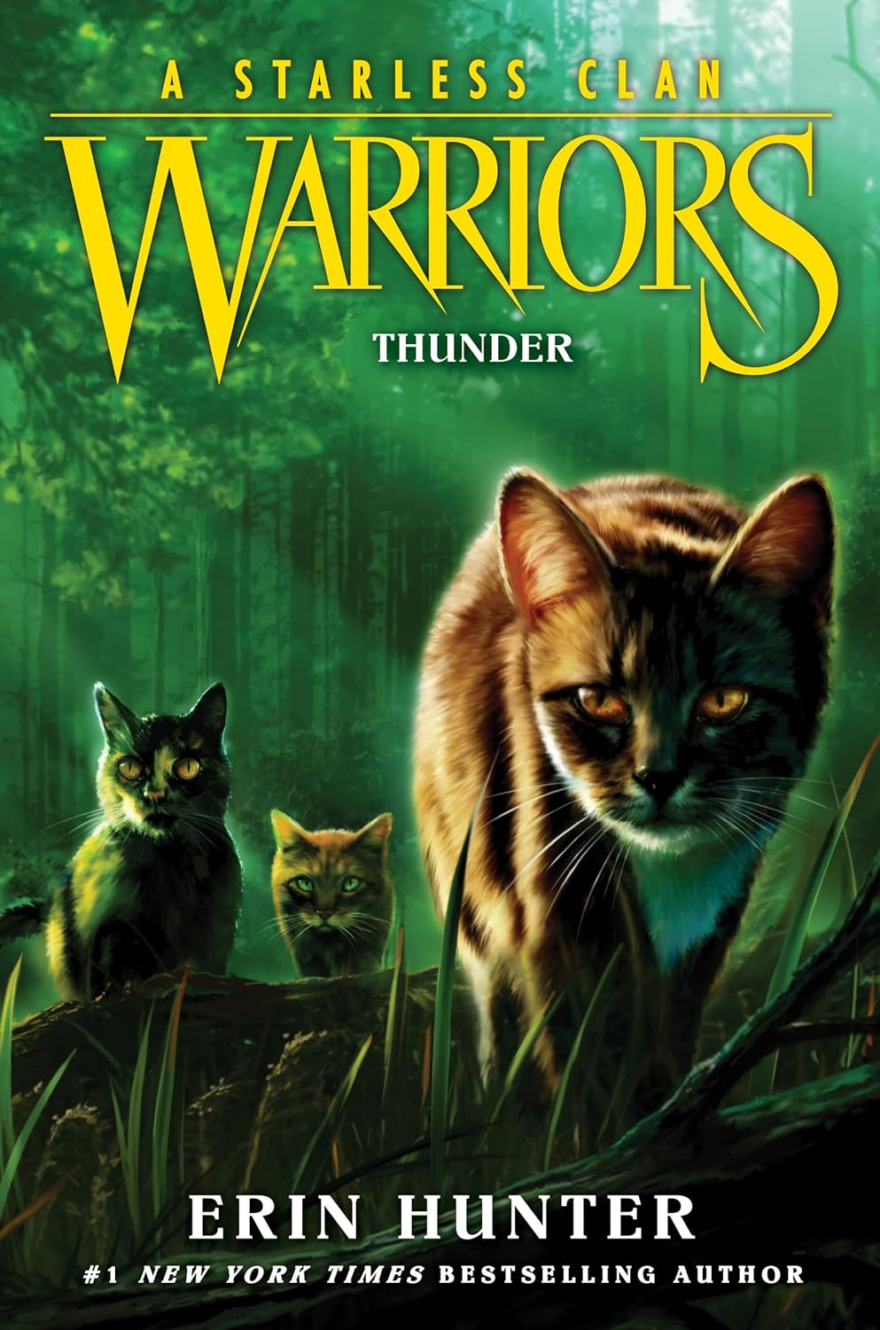 Warriors a Starless Clan #4 - Thunder image number 1