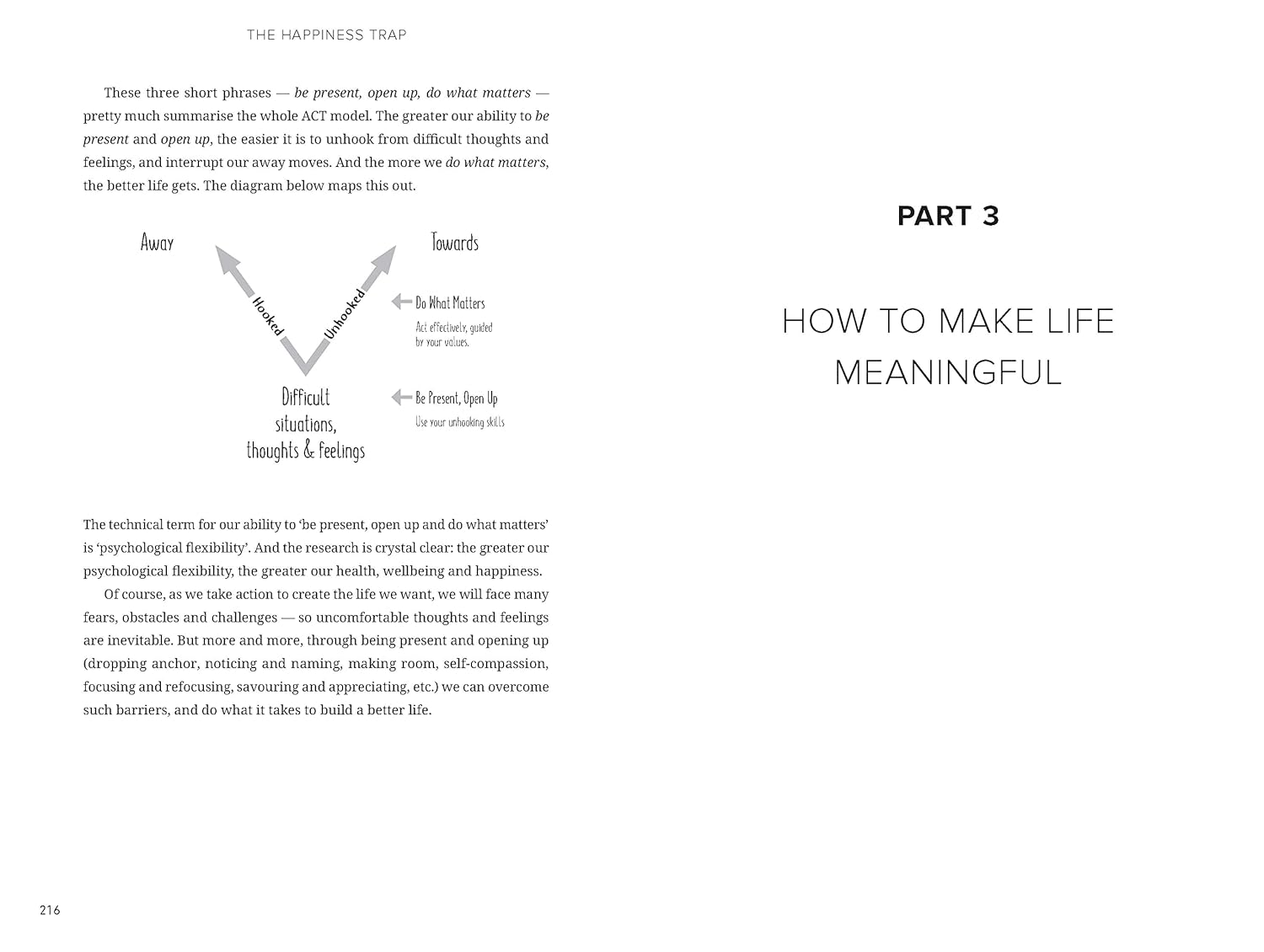The Happiness Trap: Stop Struggling, Start Living image number 1