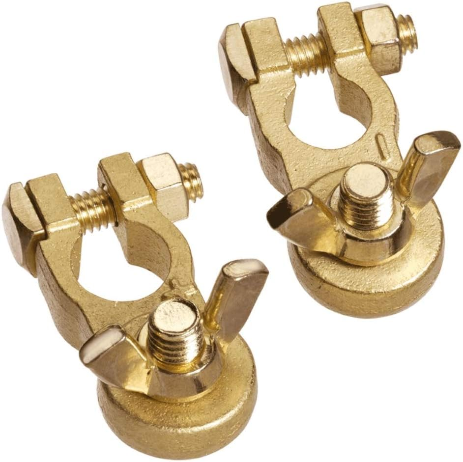 Projecta Brass Negative Post Battery Terminal with Wingnut, 10 Mm Stud