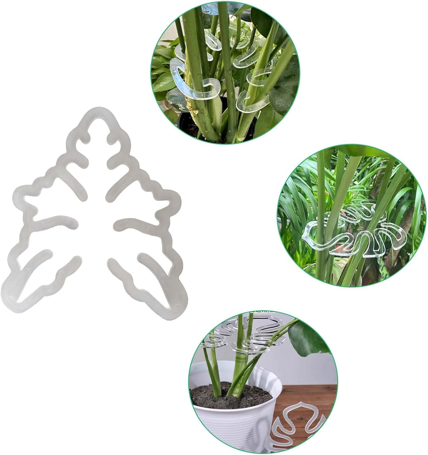 2Packs Leaf Plant Support for Monstera - Aesthetic Bamboo Clamp Set with Support Rings, Unique Plant Stakes for Vertical Growth | Durable 2-Piece Plant Support System image number 3