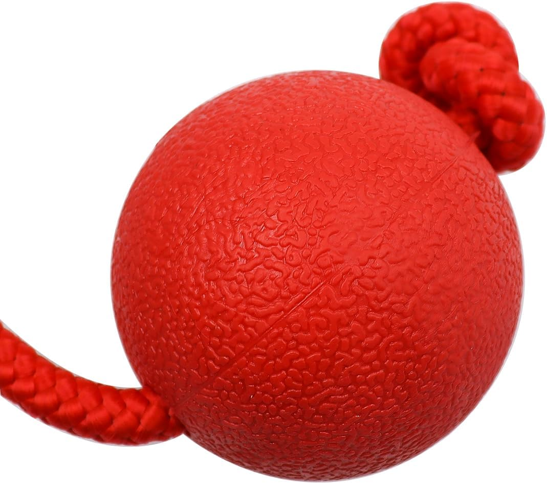 Sarini Pack of 2 Elastic Dog Game Ball with Rope,Natural Rubber Throwing Ball, Dog Ball with Cord, Pet Ball Game with Rope for Large and Small Dogs, Wide Throws, Catching