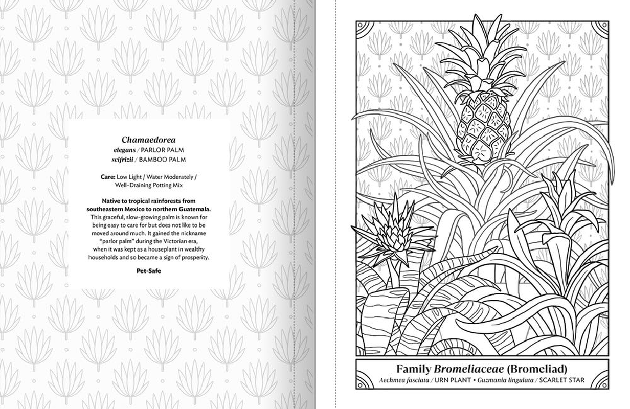 The Happy Houseplant Coloring Book: 50 Plants to Color and Care For: an Indoor Gardening Coloring Book image number 5