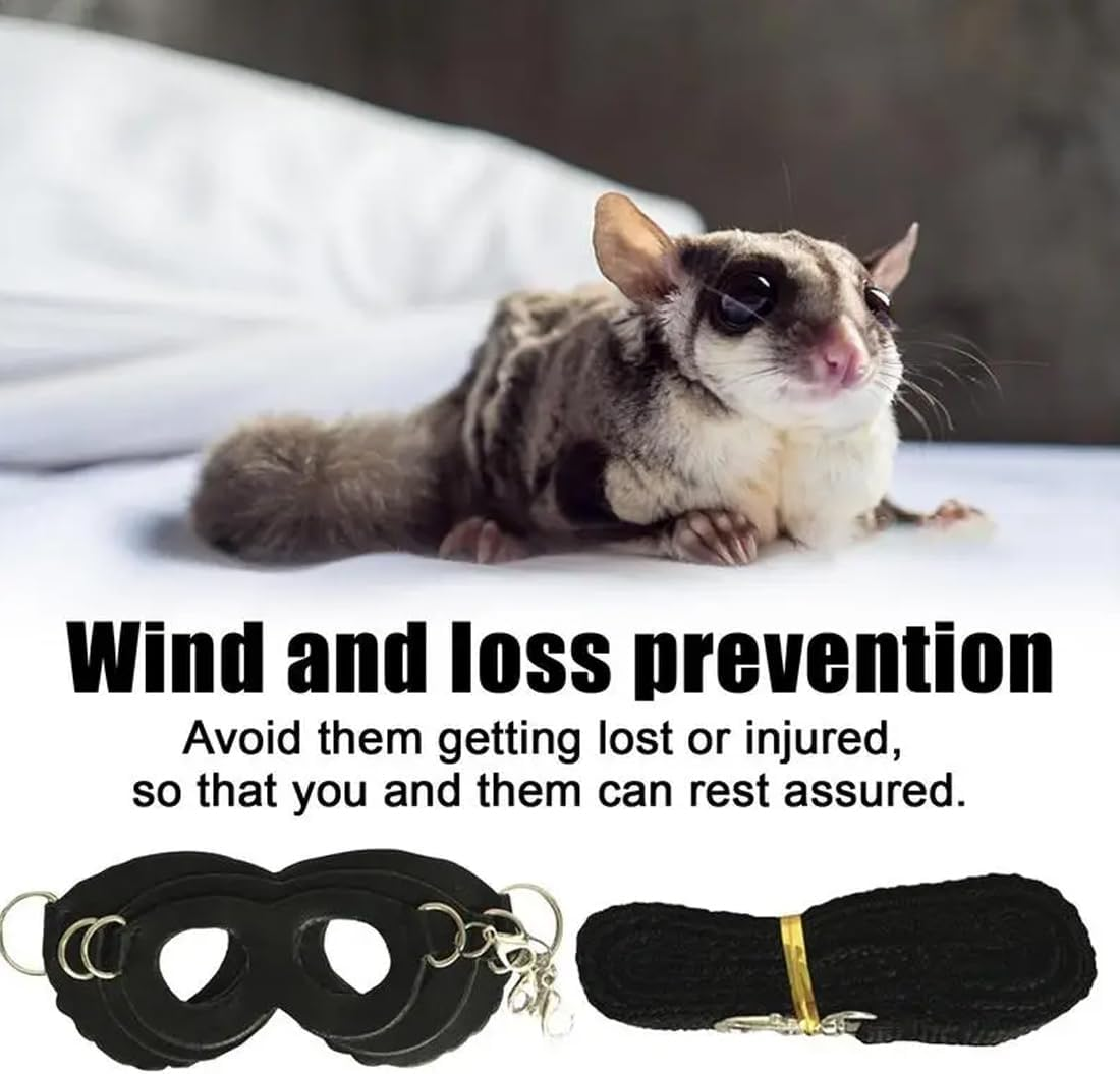 SGERUFZ 3 Piece Harness and Lead Set for Small Pets Training and Walks Vest for Squirrel Hamster Rat Black image number 3