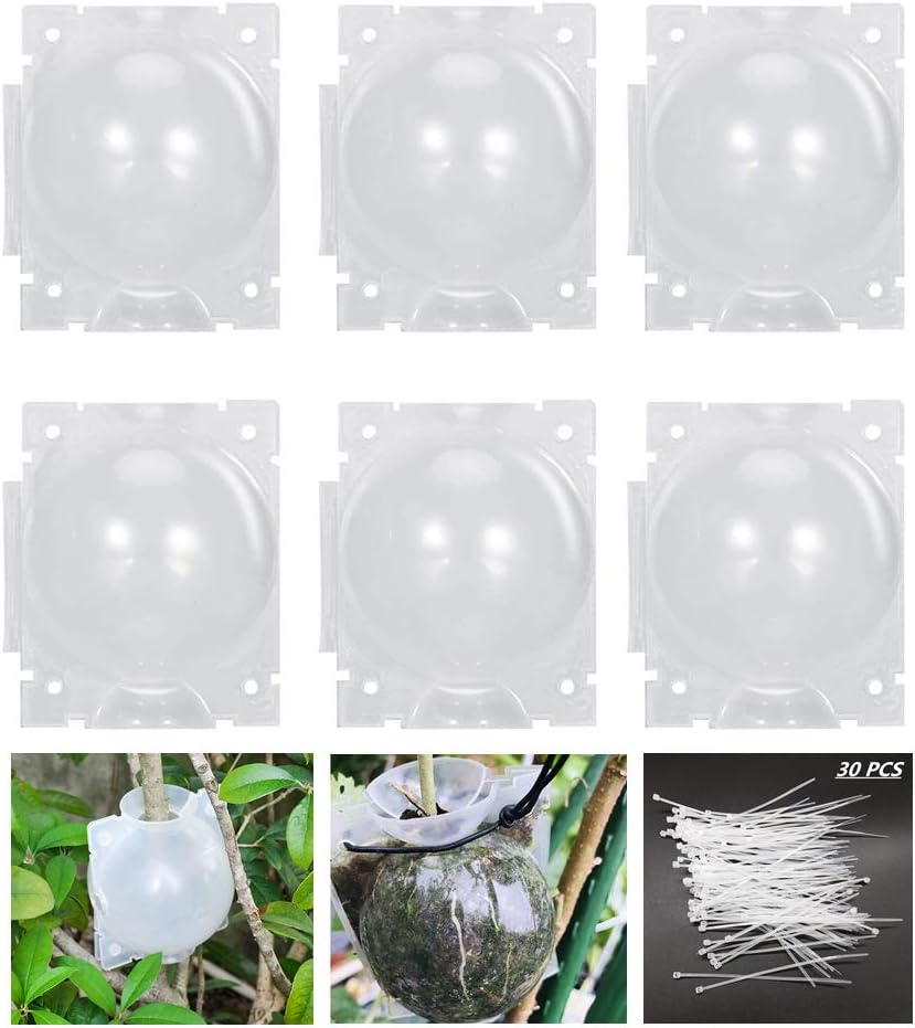 Plant Root Growing Box, Reusable Plant Rooting Device Plant Rooting Grow Box High Pressure Propagation Ball Grafting Device Botany Root Controller (Medium（3.1&Prime;&times;6Pcs）, Transparent)