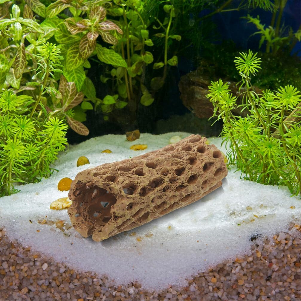 Milisten 2Pcs Natural Cholla Wood Logs for Shrimp Habitat Food Treat Hermit Crabs Plecos Aquarium Decoration Lowers Ph Hideouts Chew Toys Reptiles Thorn Dried Organic image number 3
