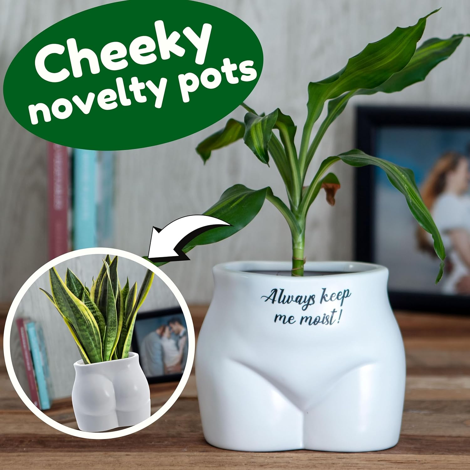 Boxer Gifts Always Keep Me Moist' Novelty Body Shaped Plant Pot | Funny Rude Home D&eacute;cor Gift, Ceramic, White,Black, One Size image number 2