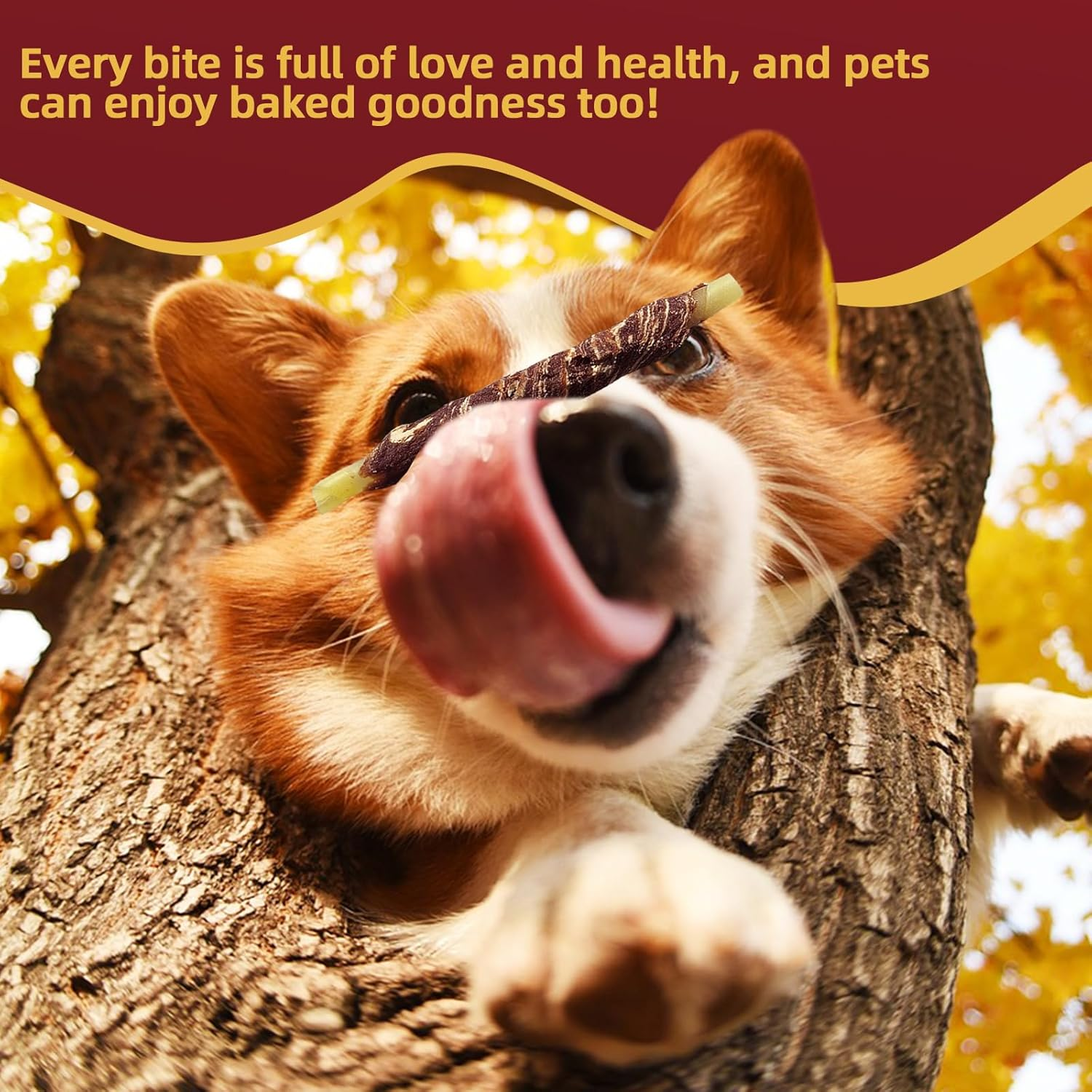 Dog Treats, Marbling Beef Dog Rawhide Sticks, Made with Fresh Beef, Clean Teeth Naturally While Chewing, 350G image number 5