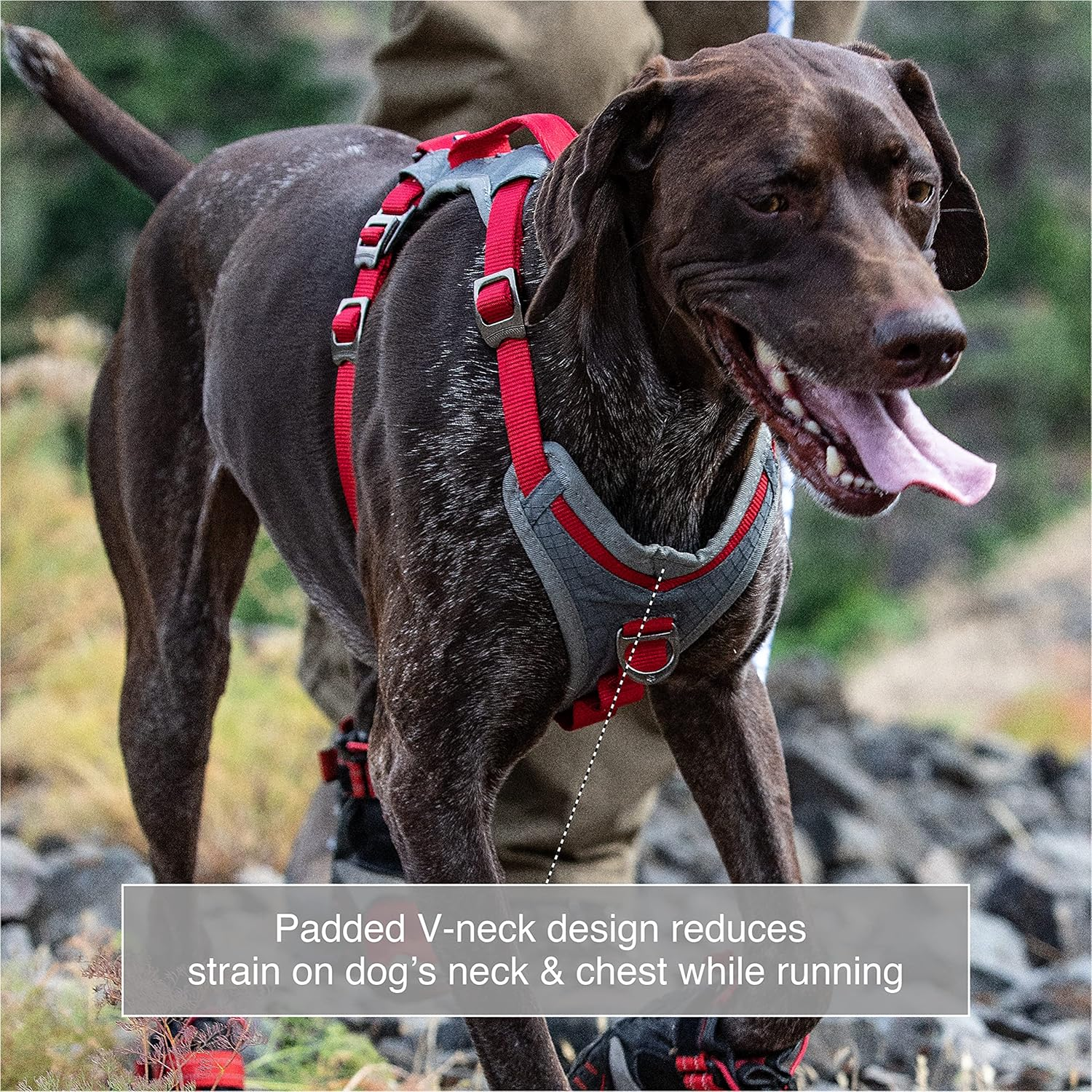 Kurgo Journey &trade; Multi-Use Dog Harness, Reflective Harness, Dog Running Harness, Dog Walking Harness, Dog Hiking Harness, Blue/Grey, Small image number 4