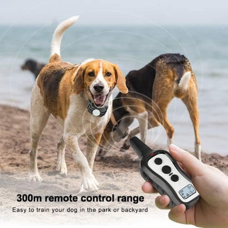 HW101 Remote Dog Training Collar (1 Dog) with Beep Tones, Vibration, Shock, Waterproof, Safe anti Barking Device for Dogs, Dog Bark Collar for Small Medium Large Dogs, Black & Grey image number 2
