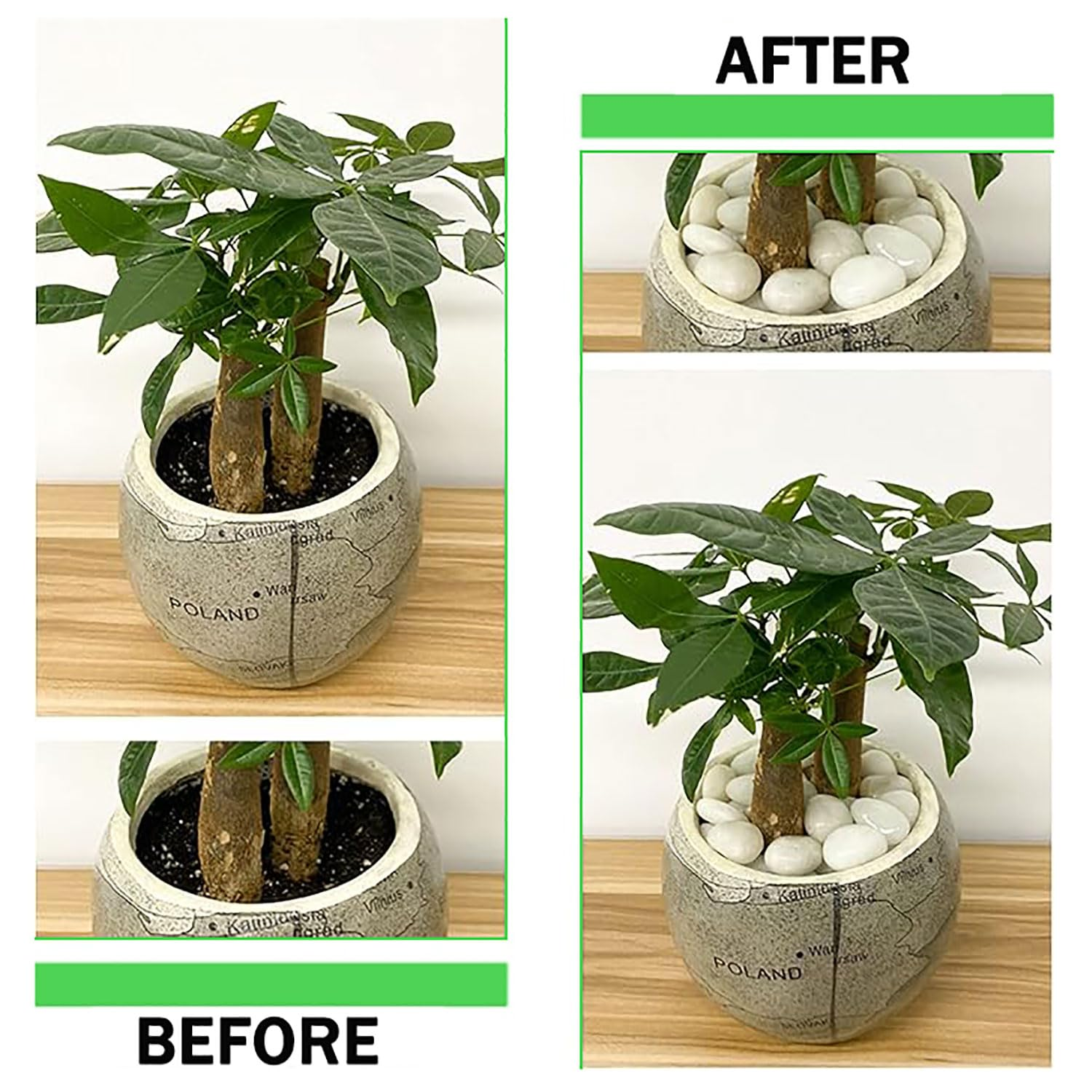 1.65Lb White Pebble for Plants, 1-2Cm Indoor Terrarium Gravel, River Rocks Polished, Vase Fillers Succulents Cactus Bonsai DIY Garden Landscaping Outdoor Stones for Aquarium, Fish Tank Decor