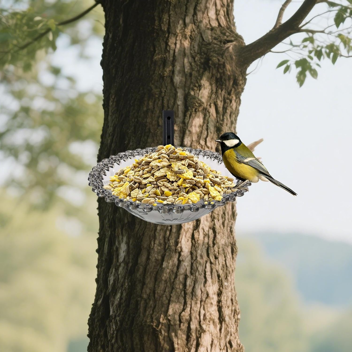 Bird Bath, Garden Bird Bathroom | 9" Wall Mounted Outdoor Bird Bath | Flower Shaped Animal Meat Feeder, Climate Transparent Basin Bird Bath, Outdoor Bird Bath, Bird Bath with 9" Tree Mounted For image number 1