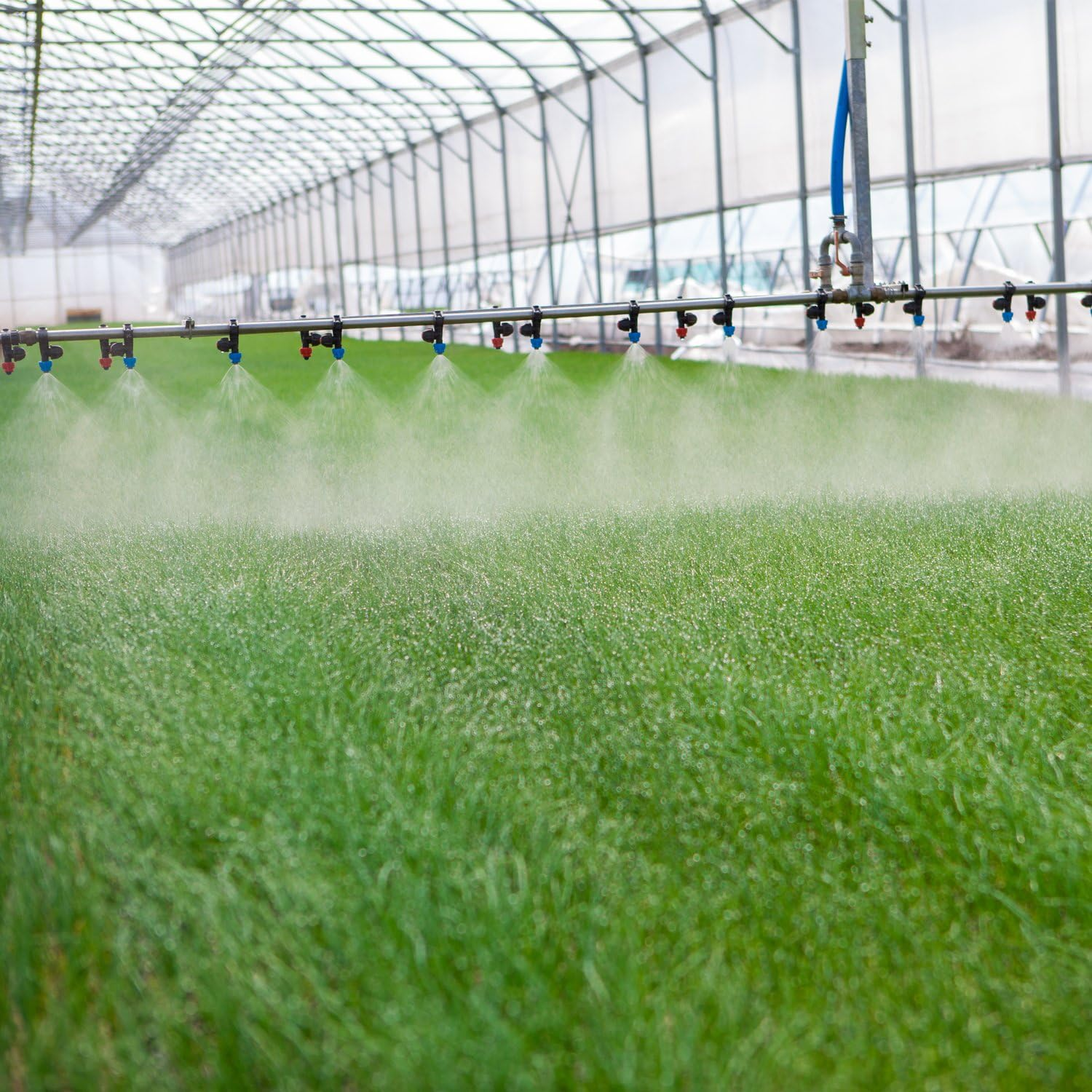 Sunmns 20 Pack Brass Misting Nozzles for Outdoor Cooling System and Greenhouse Landscaping Dust Control, 0.012 Inch Orifice (0.3 Mm) 10/24 UNC image number 4