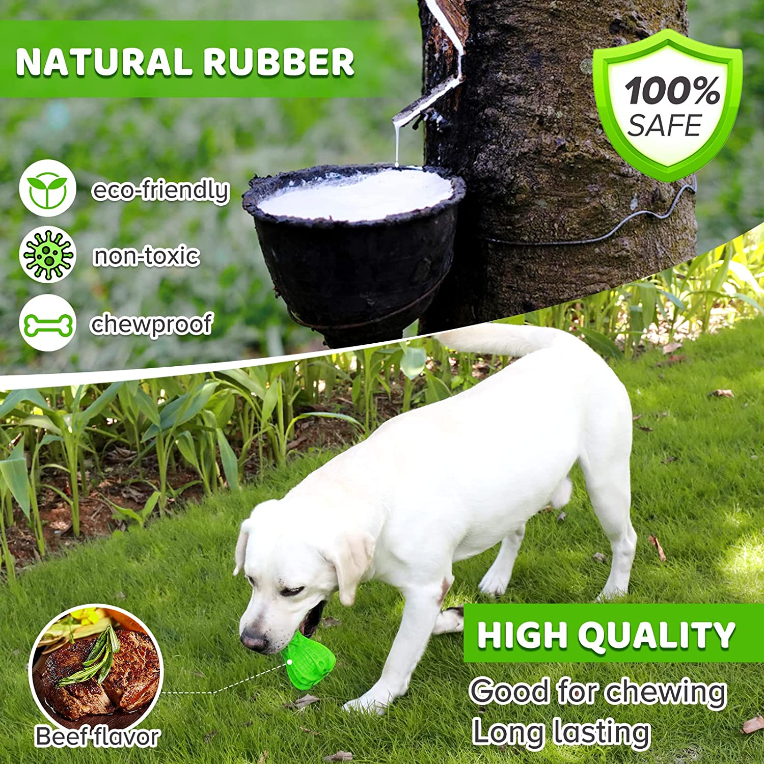 Dog Toy for Aggressive Chewer Large Medium Nearly Indestructible Super Chew Dog Toys Squeaky Dog Birthday Toy Dog Toothbrush Interactive Tough Durable Dog Toys Natural Rubber image number 1