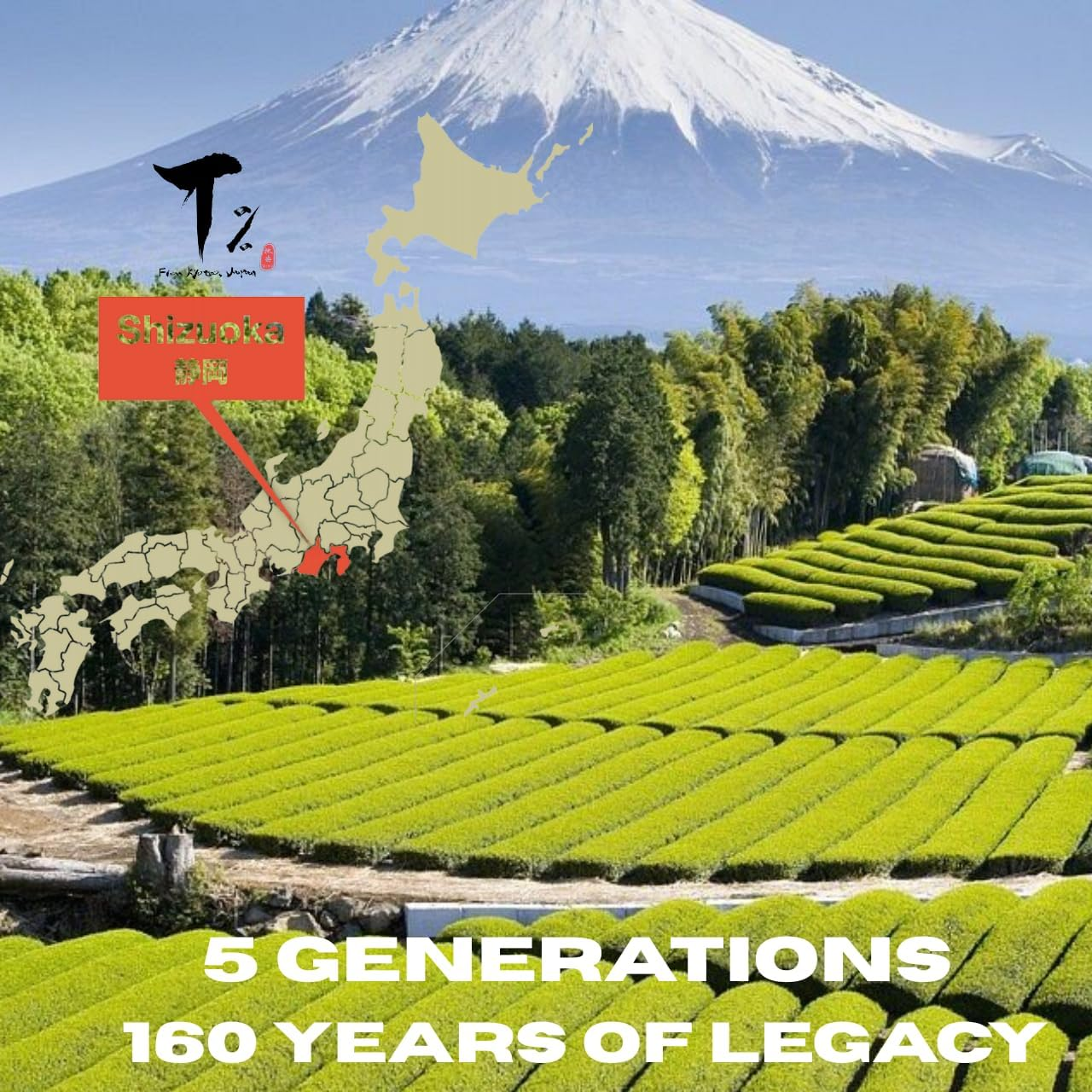 Matcha Green Tea Powder - Authentic Japanese Origin from Uji - Japan T% Everyday Matcha - Classic Culinary Suigyoku&trade; 50G - for Lattes, Smoothies and Baking