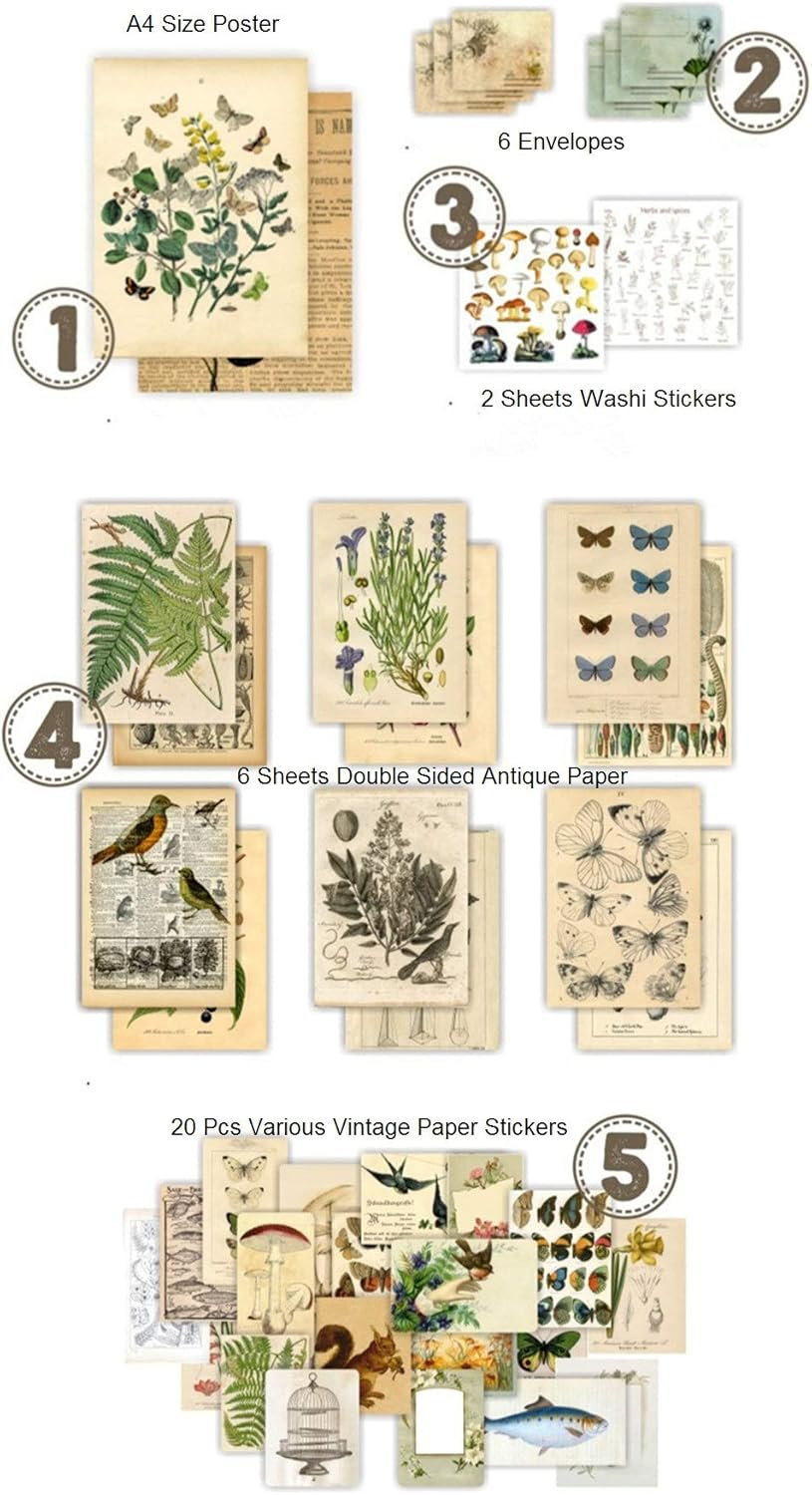 Vintage Aesthetic Botany Creature Adhesive Washi Sticker Pack | Artsy Antique Plants Grass Floral Butterfly Paper Decals Supplies | Retro Trendy Memorial (Natural Arts Crafts Material Pack) - Fall image number 4