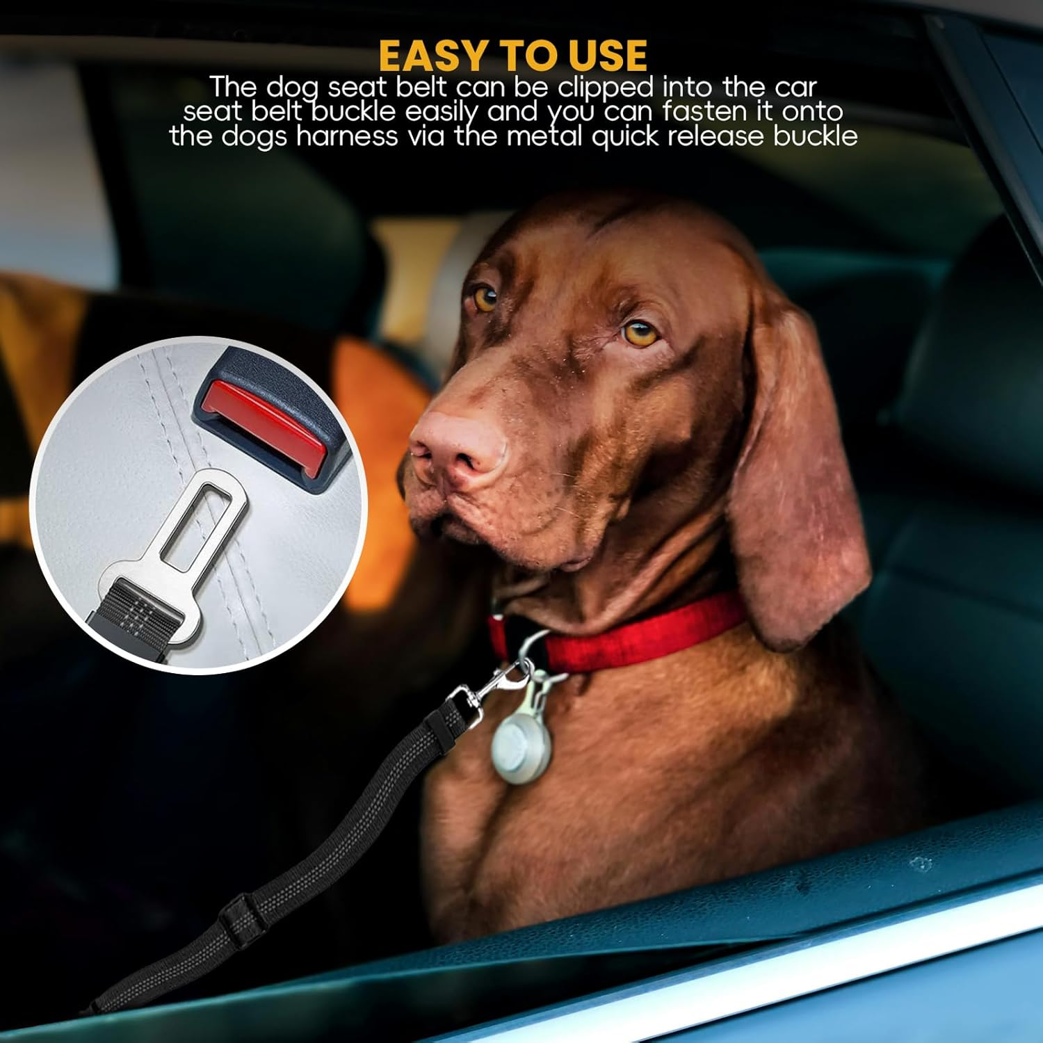 Double Dog Seatbelt - Dual Pet Car Seat Belt Adjustable Double Dog Coupler Lead with Elastic Bungee and Adjustable Dual Pet Car Seat Belt with Elastic Bungee & Reflective Stripe image number 5