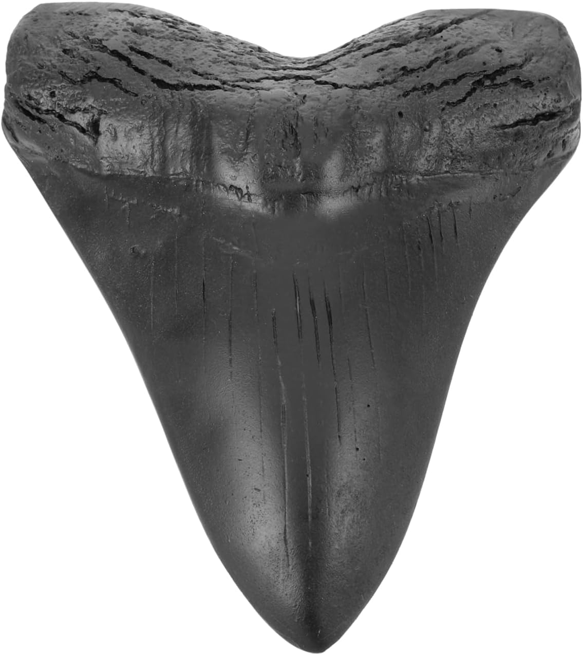 STOBAZA Megalodon Teeth Realistic Giant Shark Tooth Model Resin Collectible for Home Office Paleontological Decor 5.31X4.53X0.79In