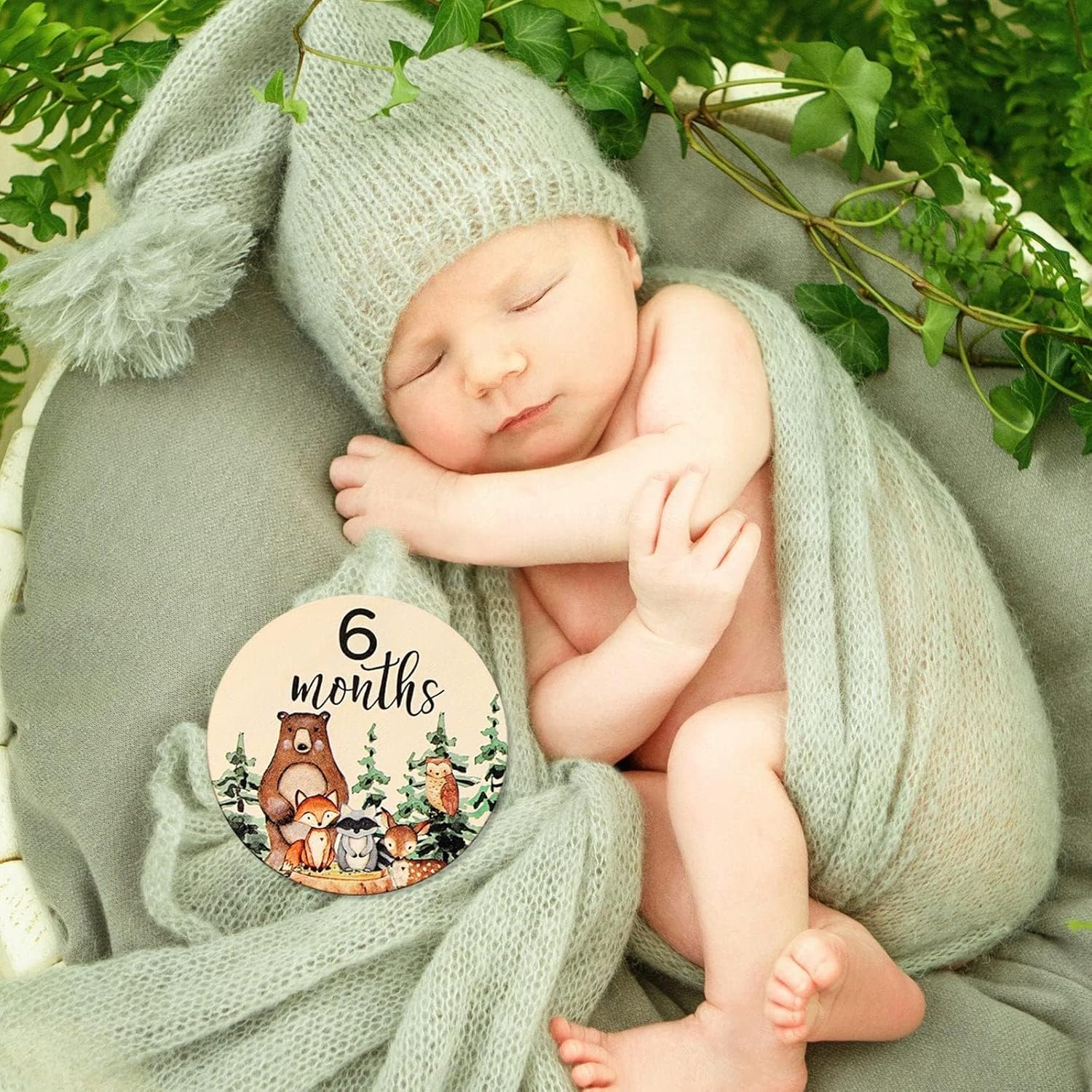 12Pcs Woodland Monthly Milestone Cards Milestone Wooden Discs Double-Sided Cute Animal First Year Age Announcement Sign for Newborn Photo Props Gift image number 1