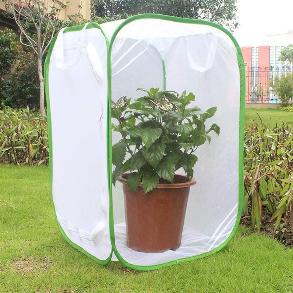 Professional Butterfly Habitat Insect Cage 15.7 X 15.7 X 23.6 Inch Caterpillar Enclosure Pop-Up Polyester Bottom for Easier Clean image number 6