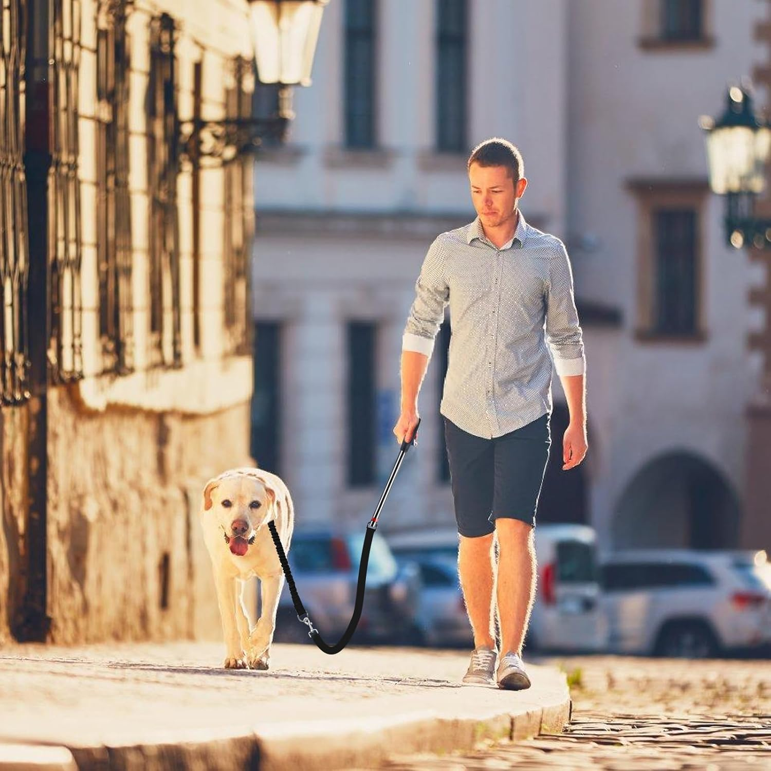 Bicycle Dog Leash: Retractable Dog Lead, Exercise Lead, Bicycle Dog Holder with an Allen Key and a Rubber Seal, Equipped for Cycling and Walking with Dog image number 2