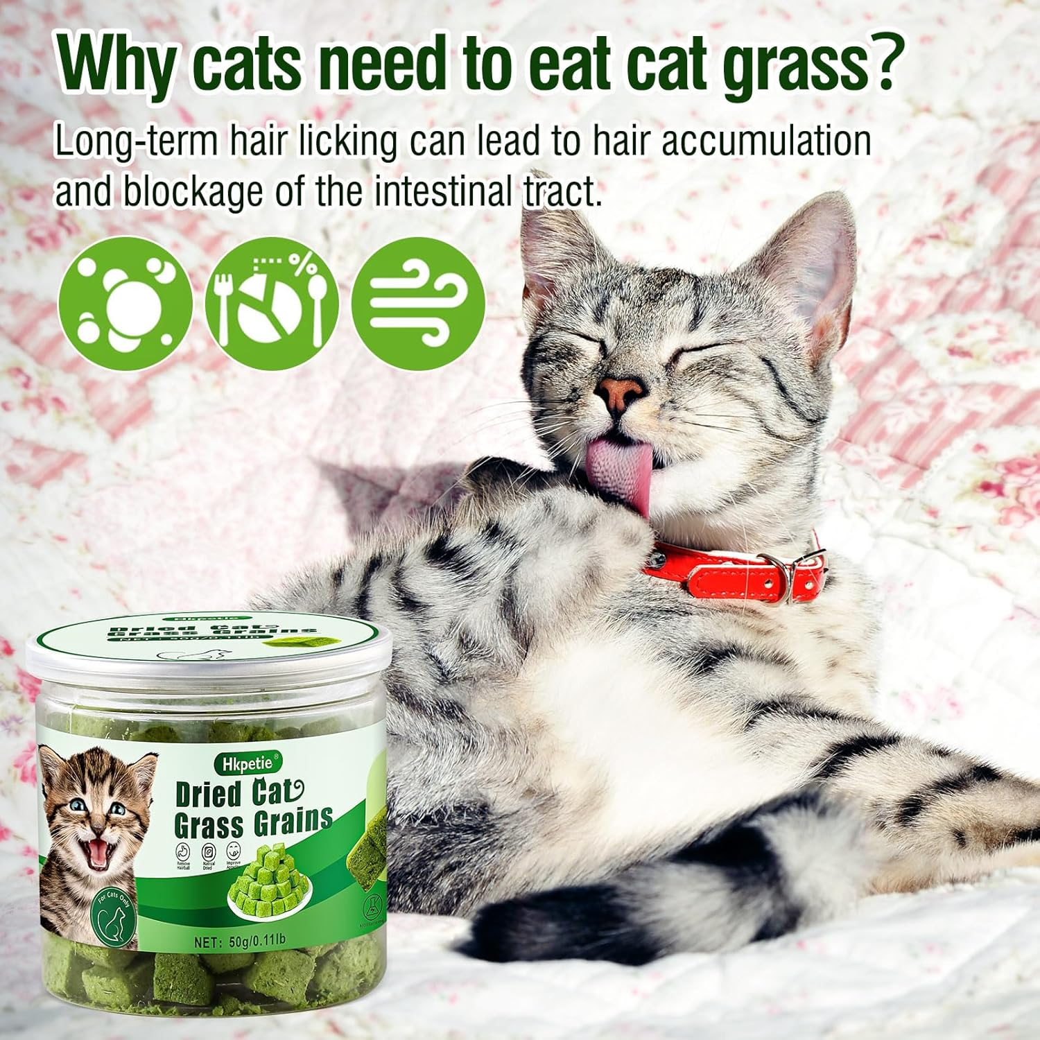 50G Cat Grass Teething Treat, Delicious Cat Grass Teething Snack Edible Cats Chew Toy for Teeth Cleaning and Hairball Removal in Cats