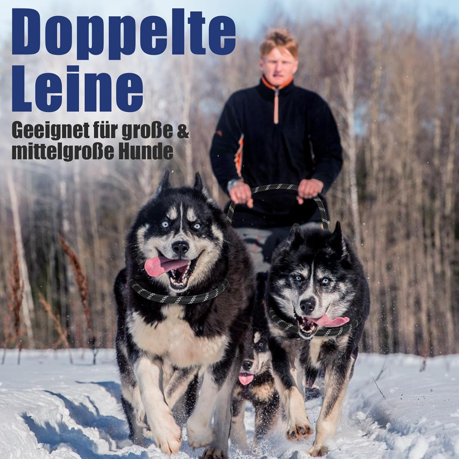 Dog Lead for Large and Medium Dogs, Adjustable Dog Lead 3 M with Reflective Strips, Nylon Double Lead, Thickened Free Leads with 2 Carabiners Thanks to the Extreme Force up to 200 Kg, Black