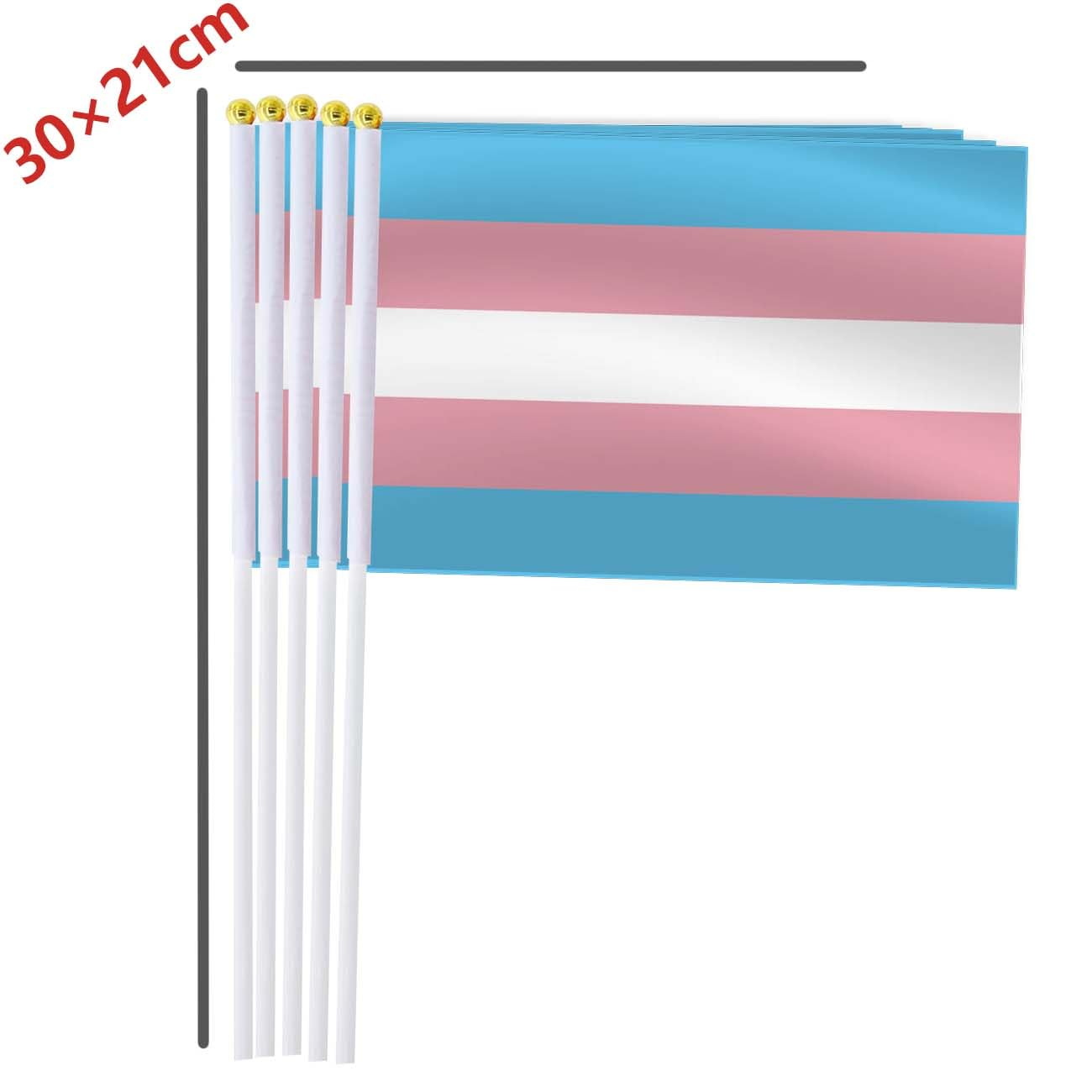 Transgender Rainbow Handheld Small Flag Set,10 PCS 5&times;8 Inch Mini Transgender Rainbow Lgbtq Pride Rainbow Hand Held Banner,Tiny Digital Printed Polyester Banner image number 3