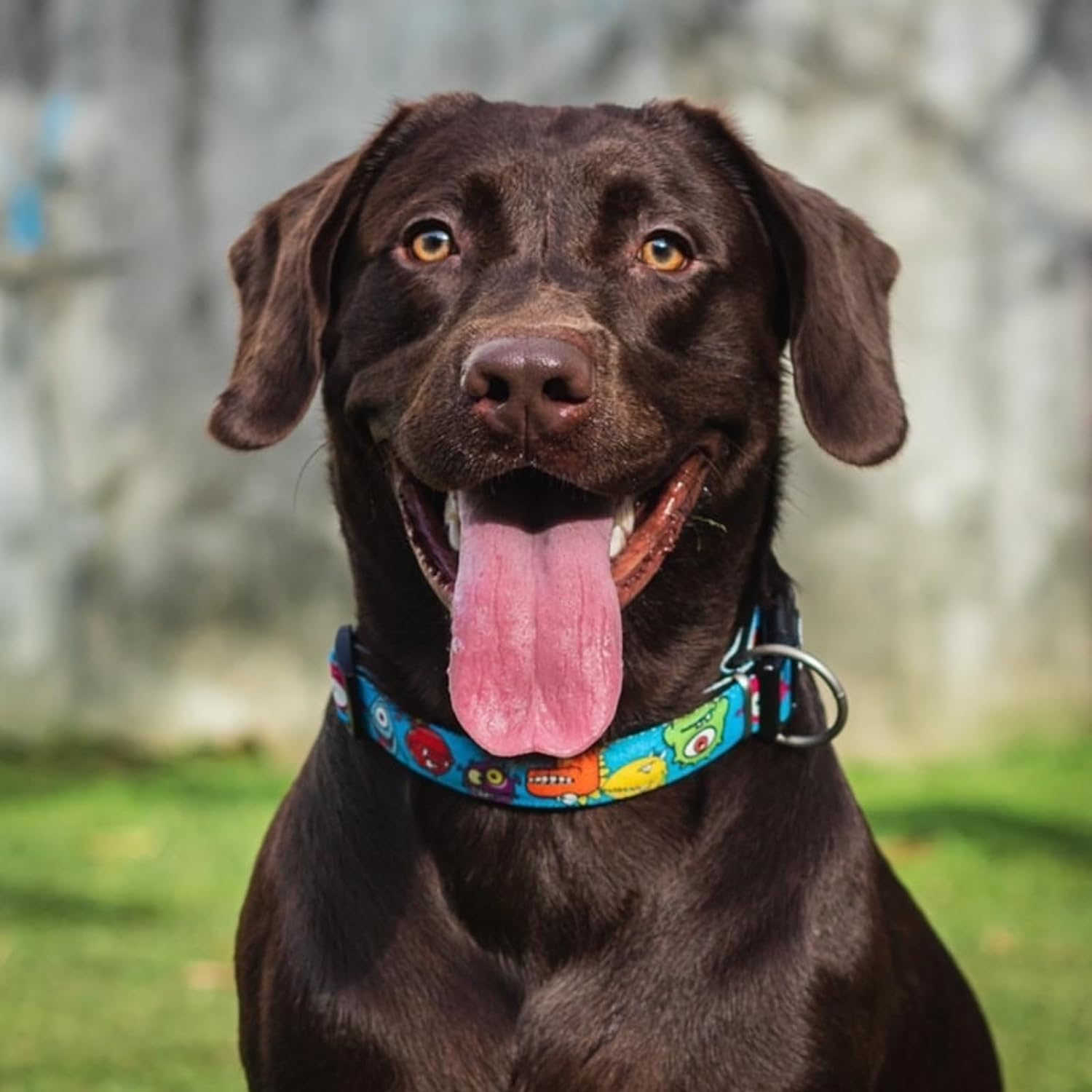 Max & Molly Smart ID Dog Collar with Gotcha! QR Safety Tag and Custom Pet Profile, Soft Padded Neoprene, Waterproof, Monsters, Large (15-25")