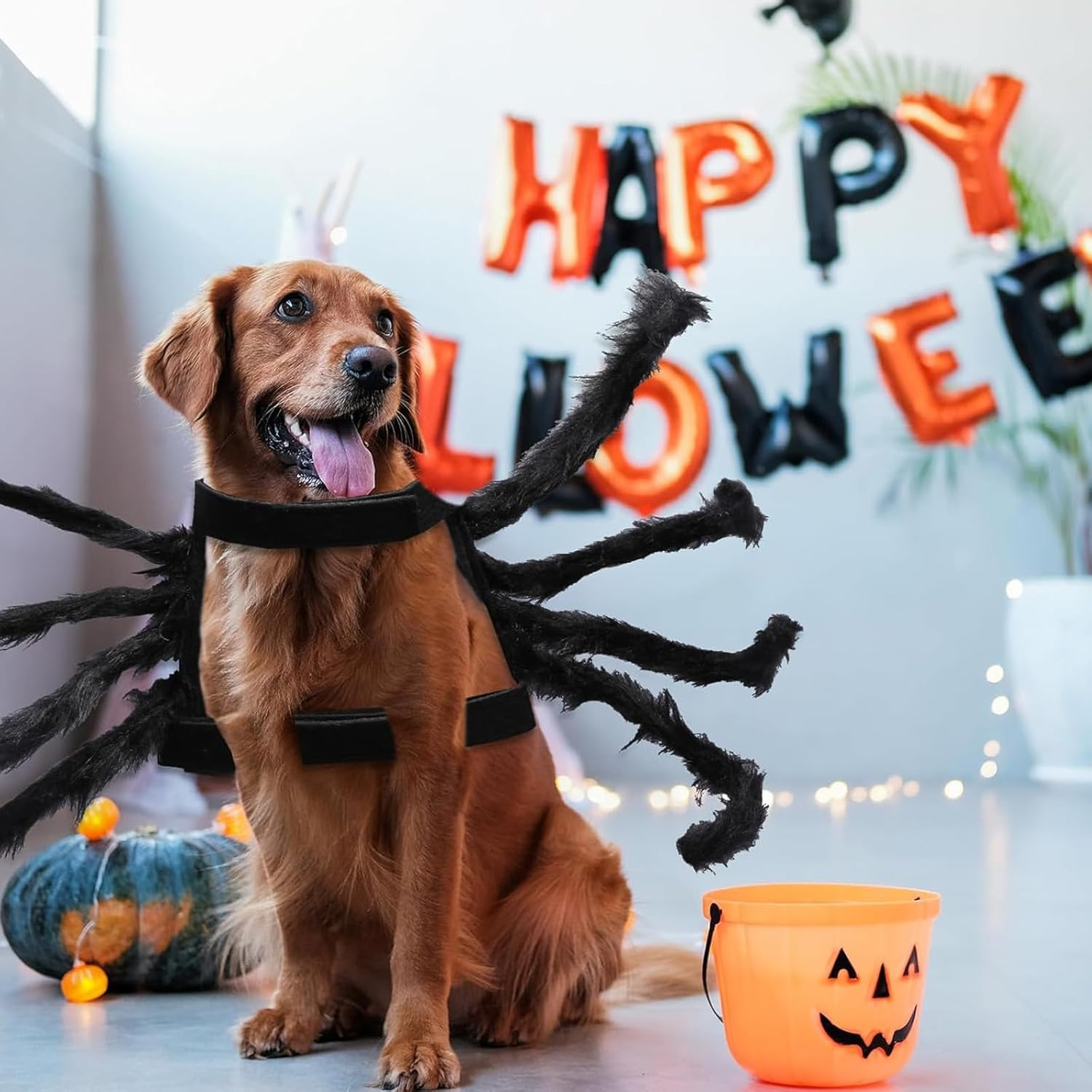 Cat Horror Spider Costume Spider Dog Clothing Decor Halloween Decoration Costume Dog Costume Cat Cat Dog Scary Costume Halloween Pet Costume for Party Christmas Halloween Black (M Size)