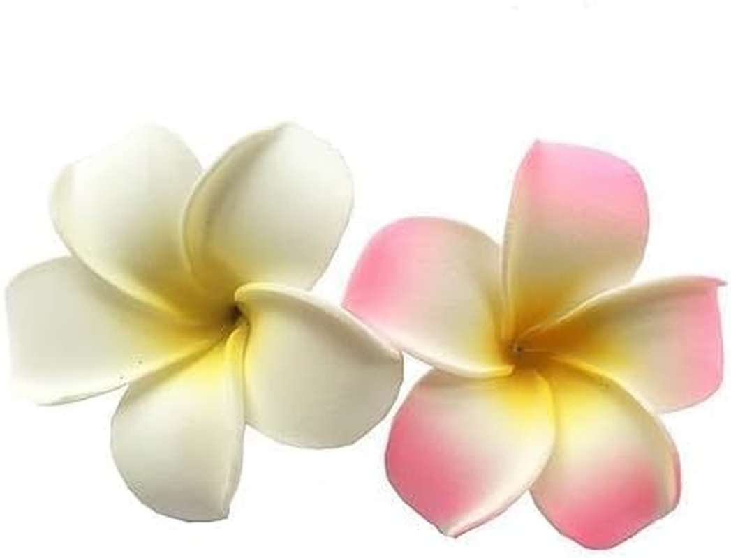Hawaiian Frangipani Plumeria Clips and Hair Clips Foam Head Flower Party Beach Hair Clips Hair Accessories Pack of 2 (White and Pink) image number 3