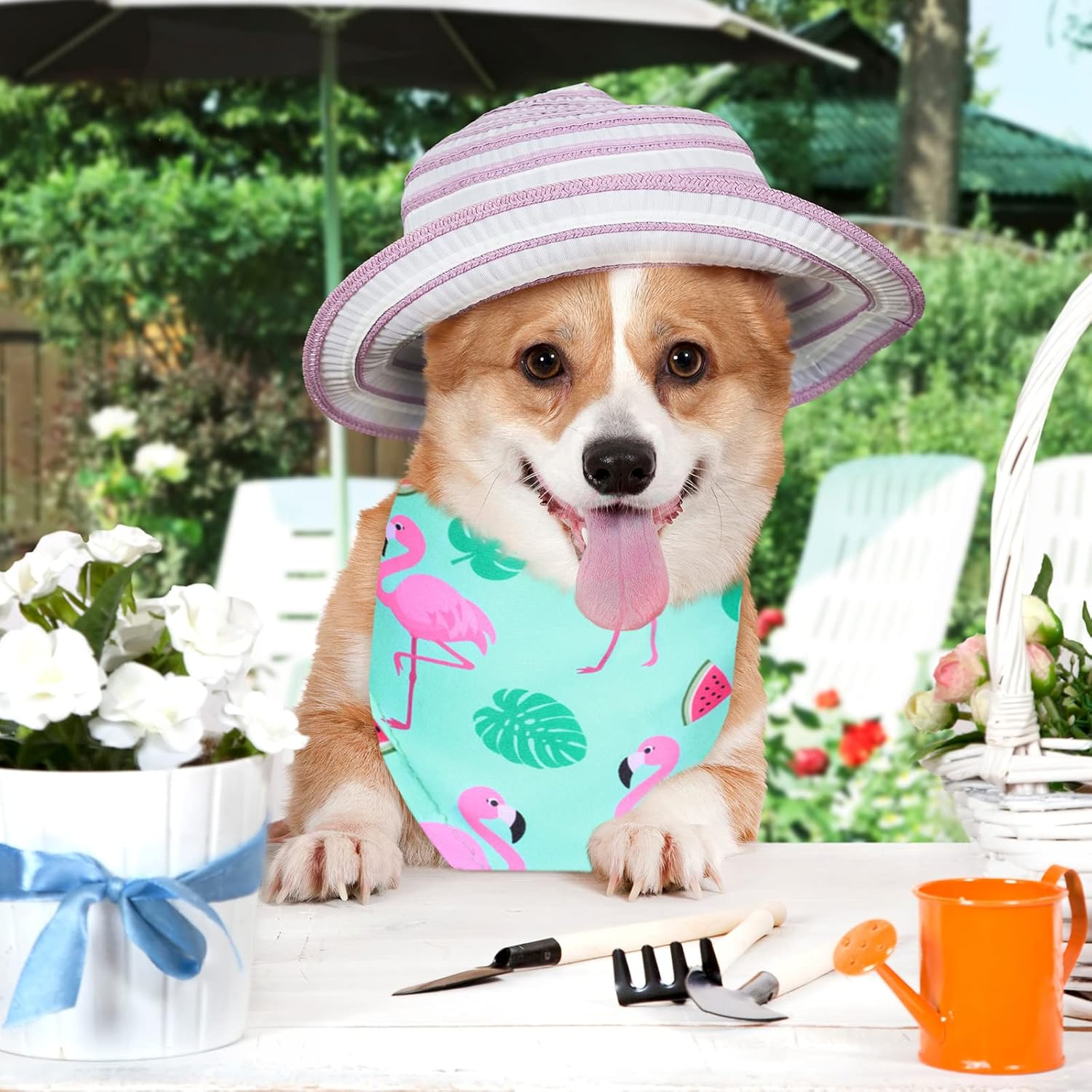 Saintrygo 20 Pcs Plain Dog Bandanas Bulk for Dogs Puppy Bandana Sublimation Dog Bandana Washable Triangle Dog Bib Heat Transfer Adjustable Dog Bandana for Small Medium Large Pets image number 6