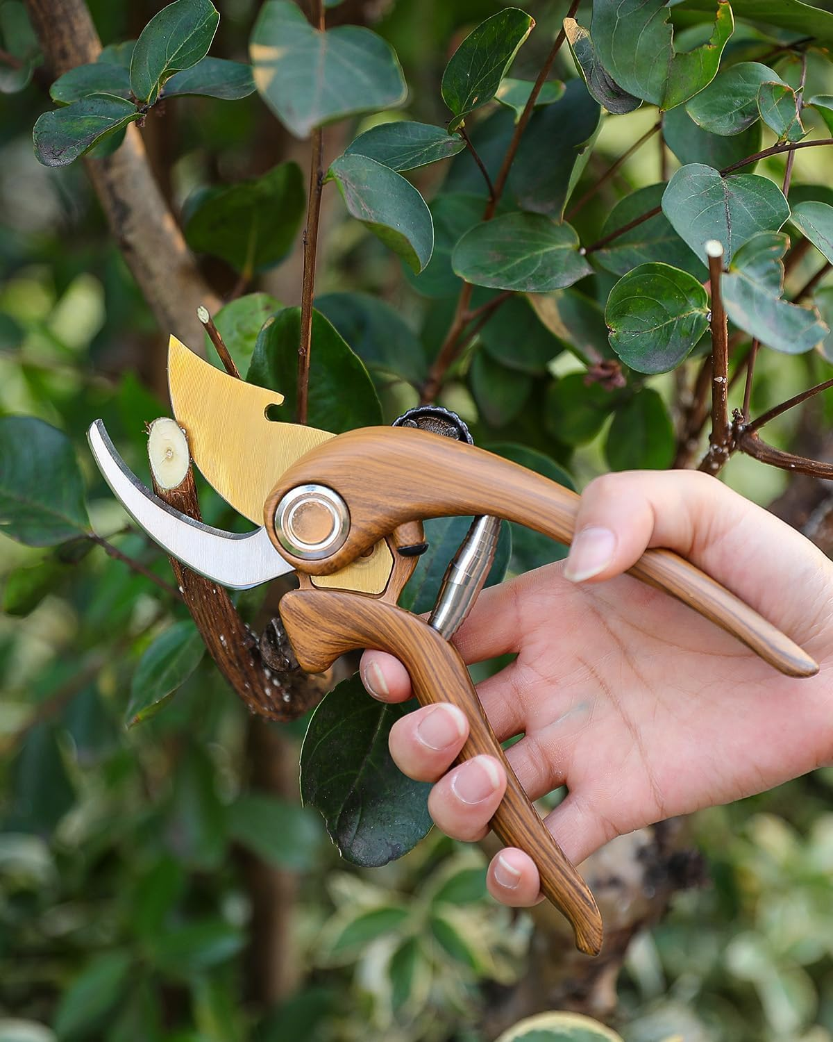 Replacement Spring Set of 4 for Secateurs, Replacement Spring for Secateurs, 6 Cm Volute Pruner Springs, General Type Replacement Springs, Vine Shear Springs, Stainless Steel, Replacement image number 4