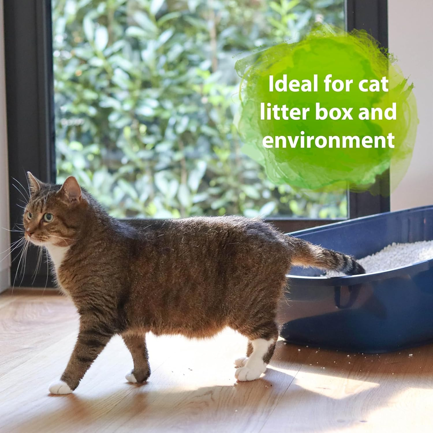 Bactador Cat Litter Odour Remover Spray 500Ml - Biological Enzyme Cleaner as a Ready-To-Use Solution against Cat Urine, Animal Odors, Sweat - for Household & Animal Environment