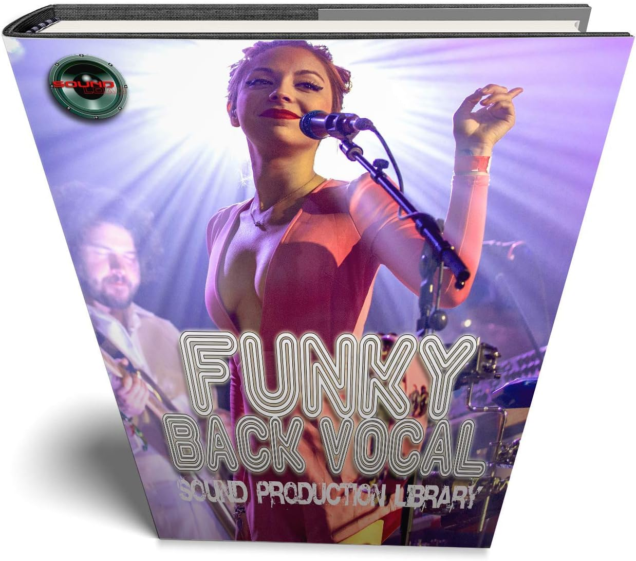 Hip-Hop Back Vocal - HUGE 24 Bit Waves Samples Production Library 10 000!!! Object on DVD image number 6