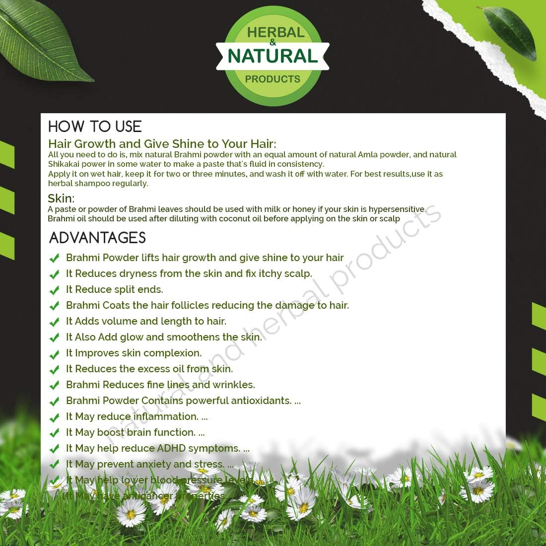 Brahmi Powder | Waterhyssop | Bacopa Monnieri | Thyme Leaved Gratiola for Hair Care(Growth, Fall, Color) - 100 Gram image number 1