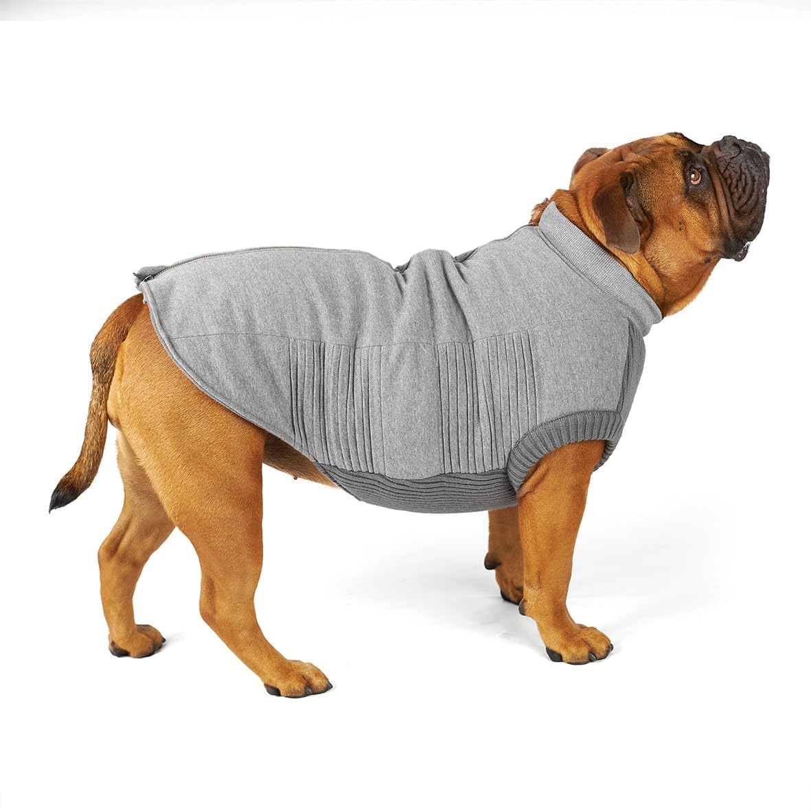 Kazoo Armadillo Dog Jacket, Charcoal, Large
