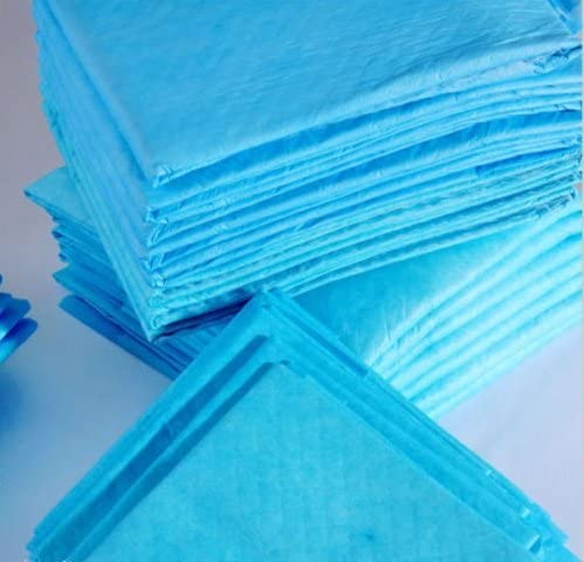 Ezonedeal 200Pcs/ 400Pcs Puppy Pet Dog Indoor Cat Toilet Training Pads Super Absorbent 60X60Cm (200) image number 4