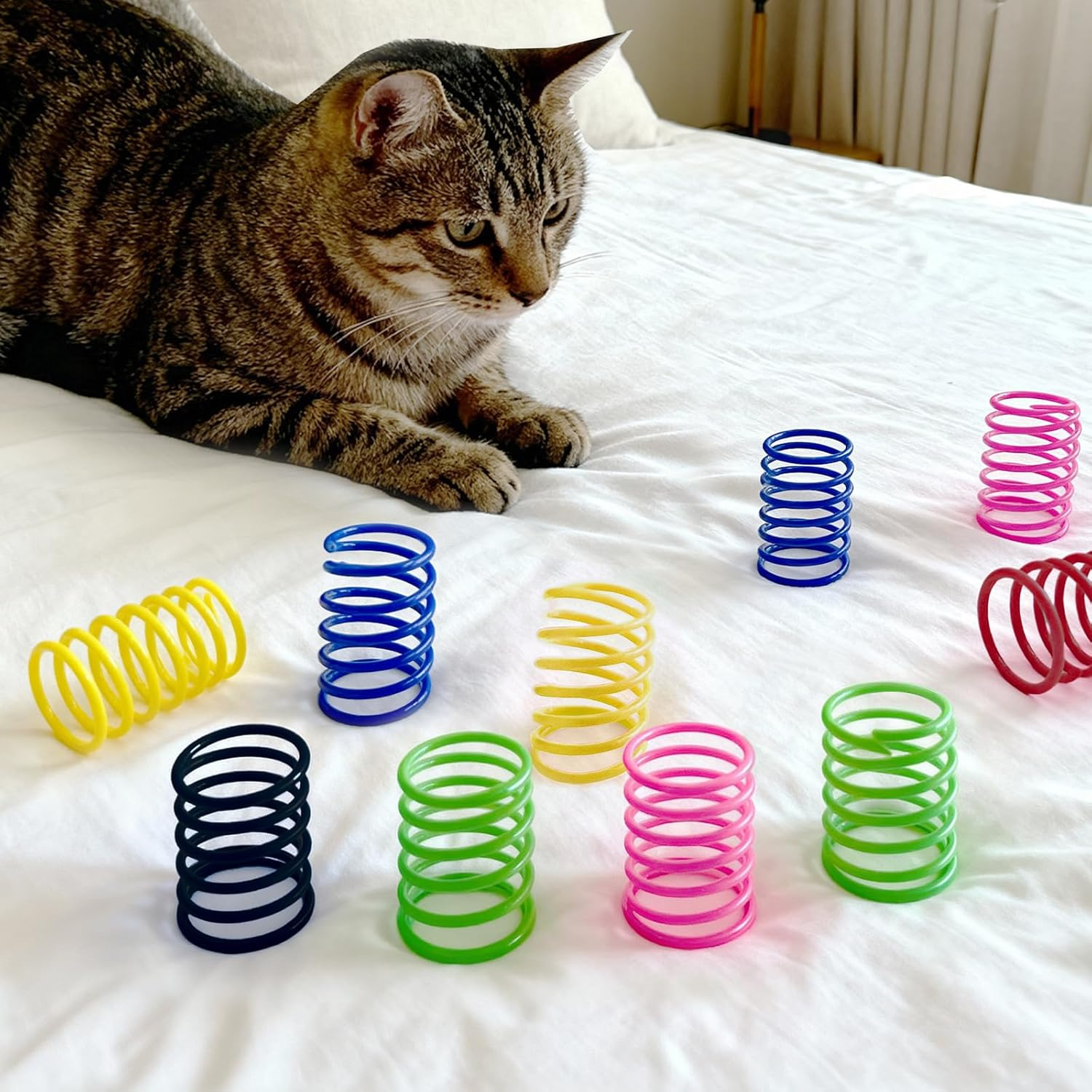 AGYM Colorful Plastic Spring Cat Toys, 30 Pack Spiral Springs for Indoor Cats to Swat, Bite, Hunt, Interactive Toys for Cats and Kittens