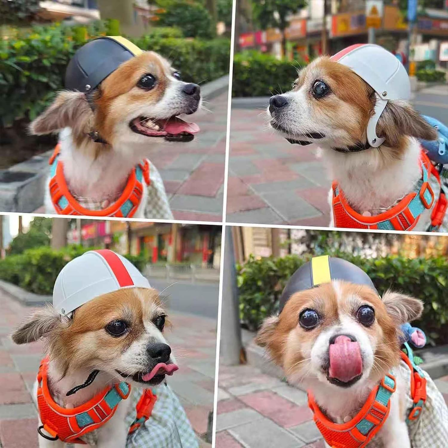 Dog Helmets for Small Dogs with Ear Holes Pet Hard Hat Cat Motorcycle/Bike Cap Adjustable Medium Dog Helmet for Outdoor Riding Hiking Cycling (White, S) image number 3