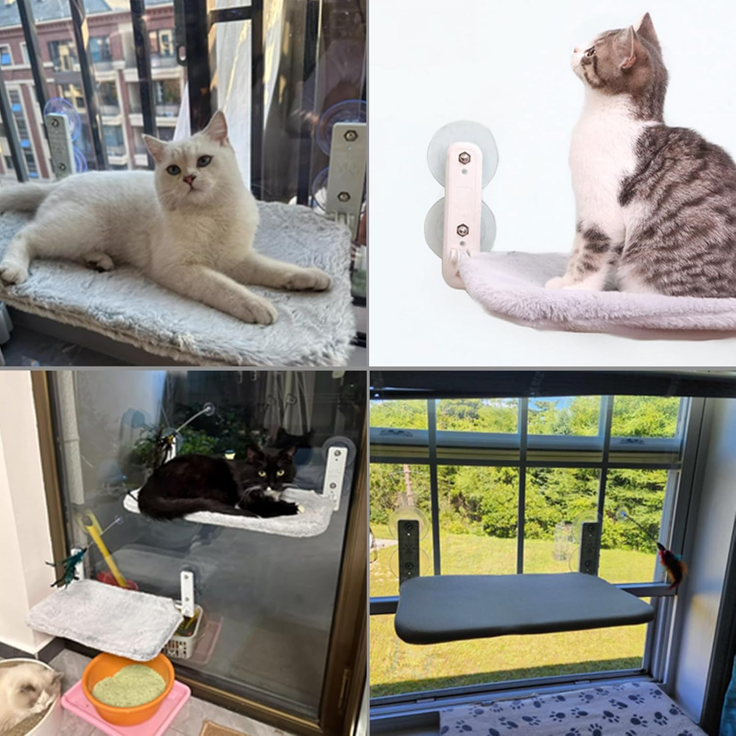 Cat Window Perch, Cordless Cat Window Hammock Bed, Solid Metal Frame, with 4 Strong Suction Cups, Foldable Cat Seat for Indoor Cats Sunbathing, Napping & Overlooking image number 2