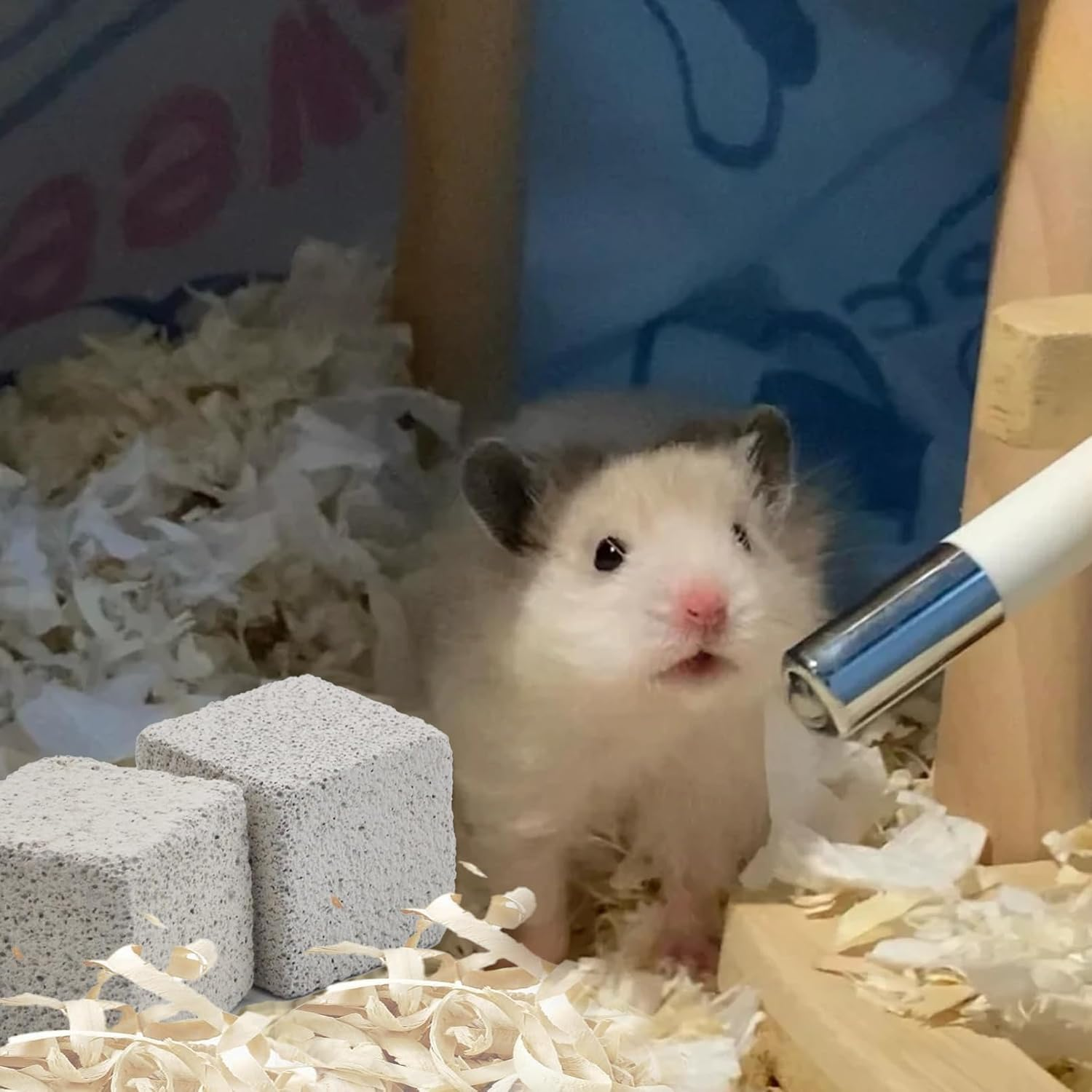 PINVNBY 20 Pcs Rbbits Lava Blocks,Chinchillas Lava Block Hamster Mineral Stone Small Animals Square Calcium Stones Teeth Pumice Grinding Chews Toy for Bunny Hamsters Chinchilla Guinea Pig Rodents image number 5