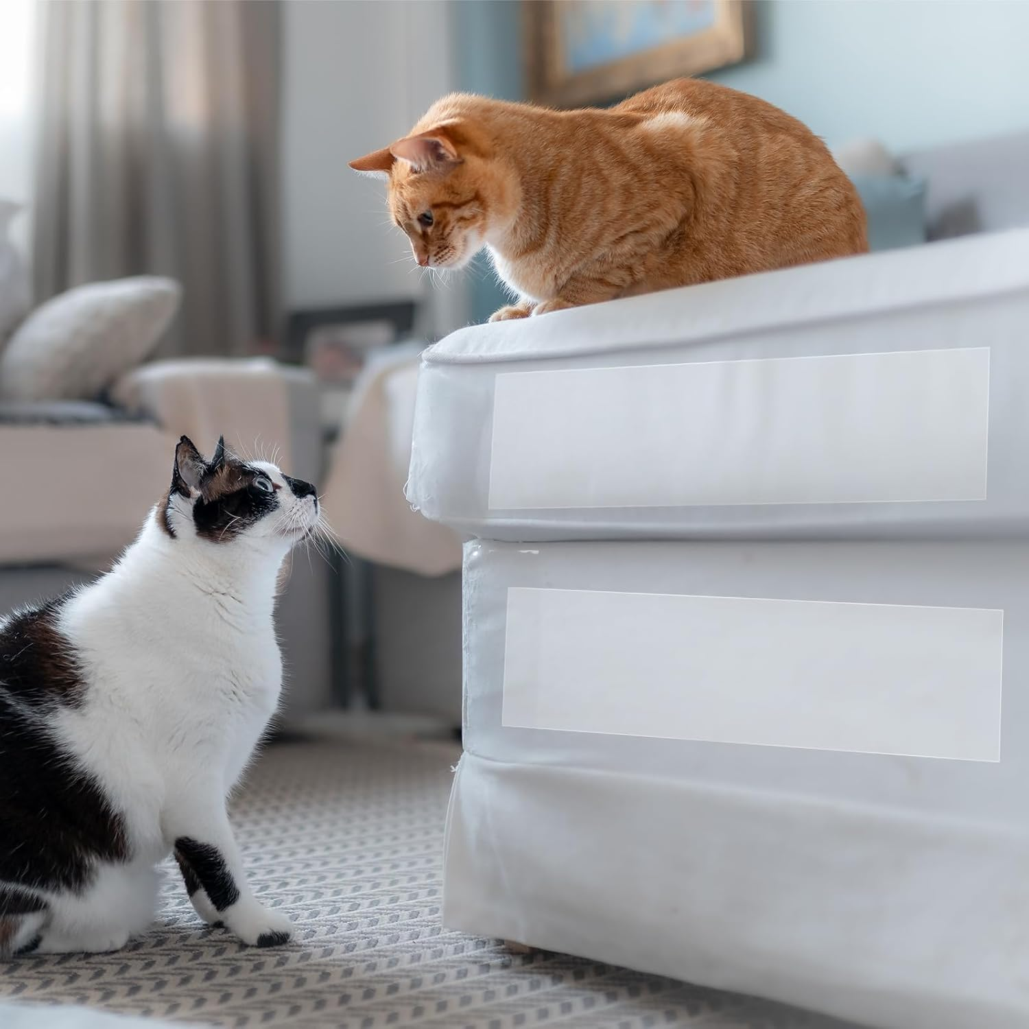 Cat Furniture Couch Protector, 20Cm X10M Self-Adhesie Cat Scratch Protector with 30 Spiral Nails for Protecting Upholstered Furniture Sofa (7.6Cm X 27M) image number 5