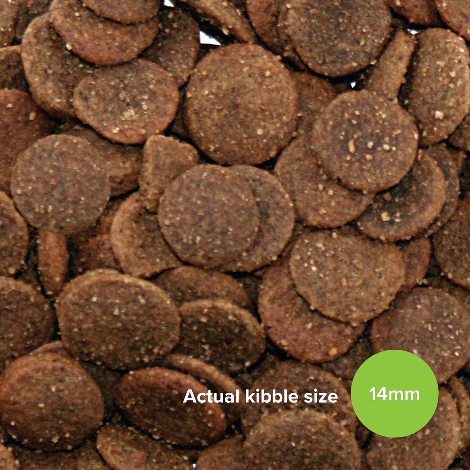 Prime100 Kangaroo Lentil Turmeric Dog Food 2.2 Kg image number 1