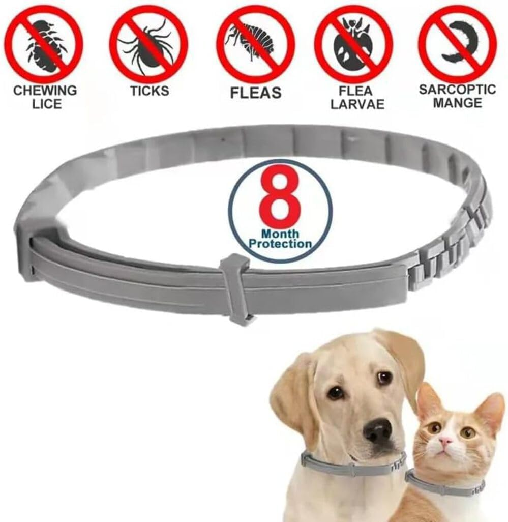 Flea Collar for Dogs 8 Months Natural Flea and Tick Collar Dog Protection Adjustable Dog Flea Collar for Small, Medium, Large Puppy Effective & Waterproof Lice, Tick and Larvae Repellent for Dogs image number 6