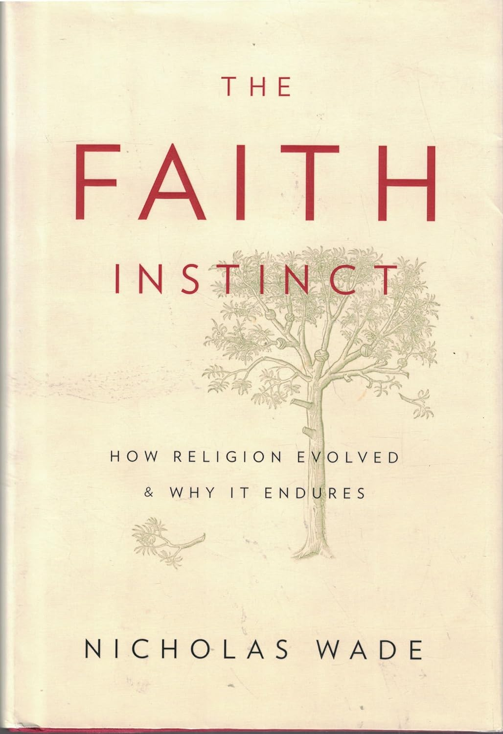 The Faith Instinct: How Religion Evolved and Why It Endures image number 1
