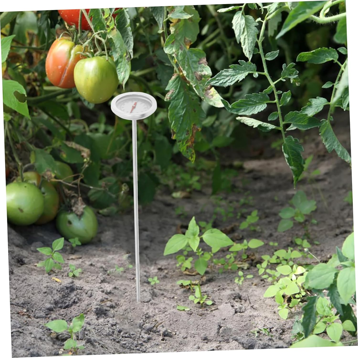 IWOWHERO Compost Soil Thermometer Probe for Garden and Outdoor Use 30Cm Long Stem Double Metal Stainless Steel Soil Temperature Measuring Tool image number 5