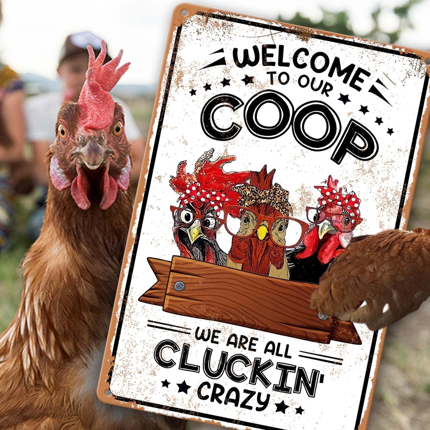 Chicken Coop Signs Welcome to Our Coop We Are All Cluckin Crazy Sign Chicken Signs for Coop Funny Outdoor Chicken Home Decor Chicken Stuff for Coop Metal Sign Chicken Coop Farm Tin Sign 8X12 Inch&hellip; image number 4
