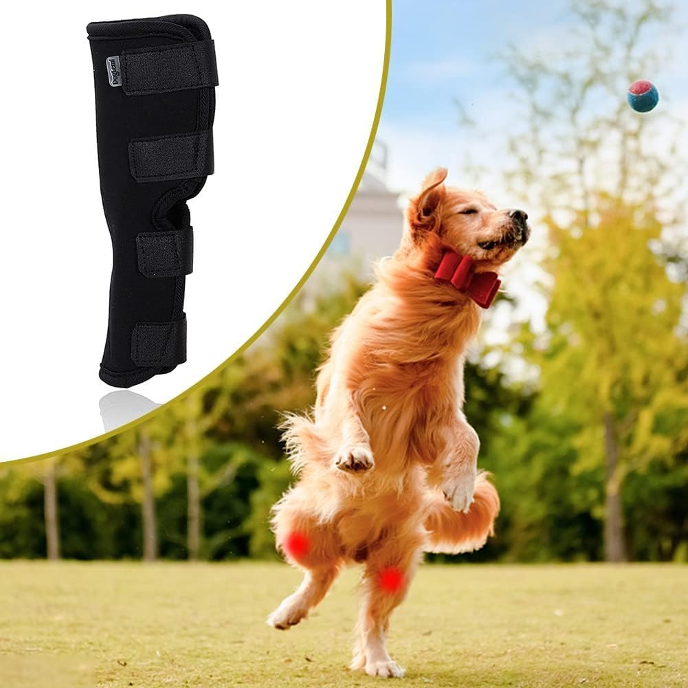 ZUJIACUN Dog Injury Prevention Rear Ankle Support with Knee Support for Dogs, Adjustable Pet Leg Support Compression Pack Recovery Dog Support Protects Leg Wound Injuries for Pain Relief (L) image number 2
